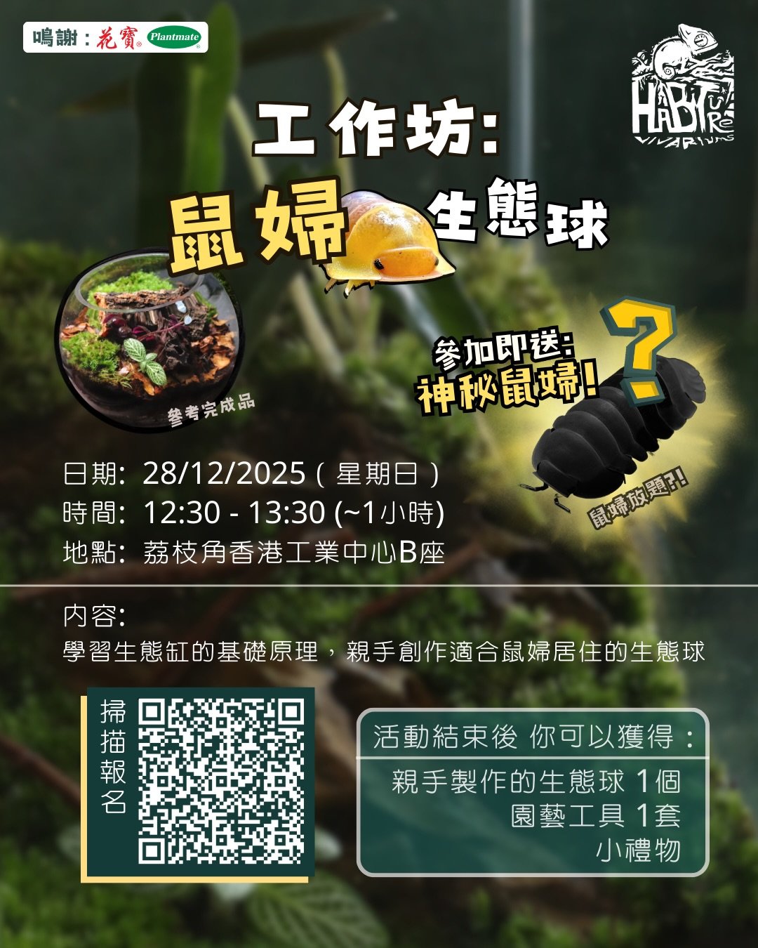 🍀Habiture 哈比村 首個工作坊：
🌹感謝 花寶 贊助本次工作坊所有專業植料！
今個聖誕假，教你打造一個「哈比系星球 」~鼠婦BB生態球。我會帶你認識生態缸嘅運作機制，等你返到屋企就識得無限複製！
參加者仲可以帶走神秘鼠婦，想知係咪名貴品種就要報名參加喇！
歡迎男女老幼，人數有限，額滿即止。

&reg;️ 報名方式：掃描圖1 QR code / 點擊Link in Bio 
🏷️ 價格： 一位$500；二人同行$880
ℹ️ 其他詳情請看圖1

如有疑問，歡迎DM / WhatsA