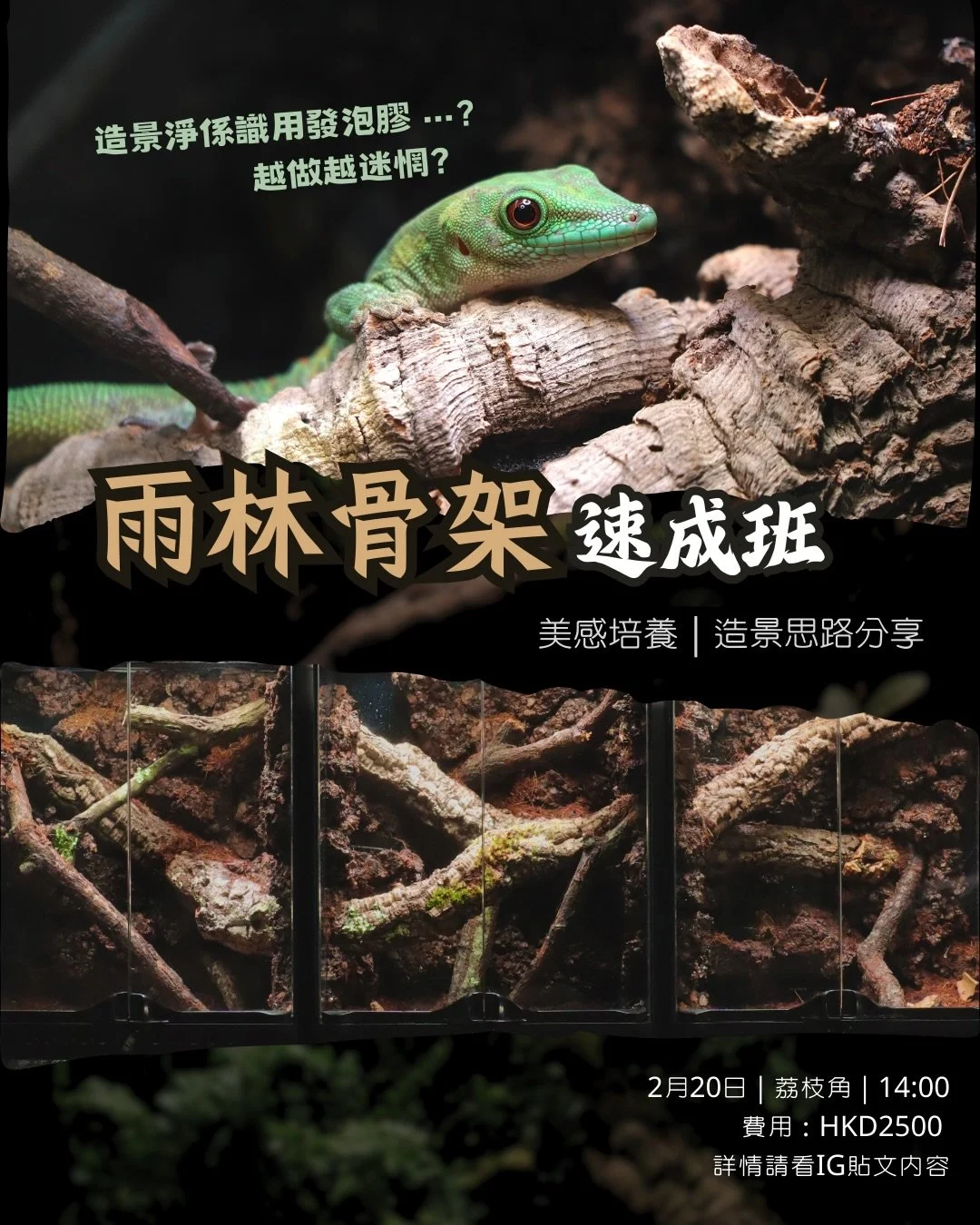 ⚠️名額只有：1

多謝大家嘅推動，嚟緊會開第一場造景班。
條件限制，只會集中做骨架，詳情：
日期：2月20日
時間：14:00 - 18:00 （約4小時）
地點：荔枝角
缸體：30x30x45cm （樹棲爬蟲缸）
費用：2500（費用包含：缸體、材料、場地、導師）

歡迎DM查詢及報名