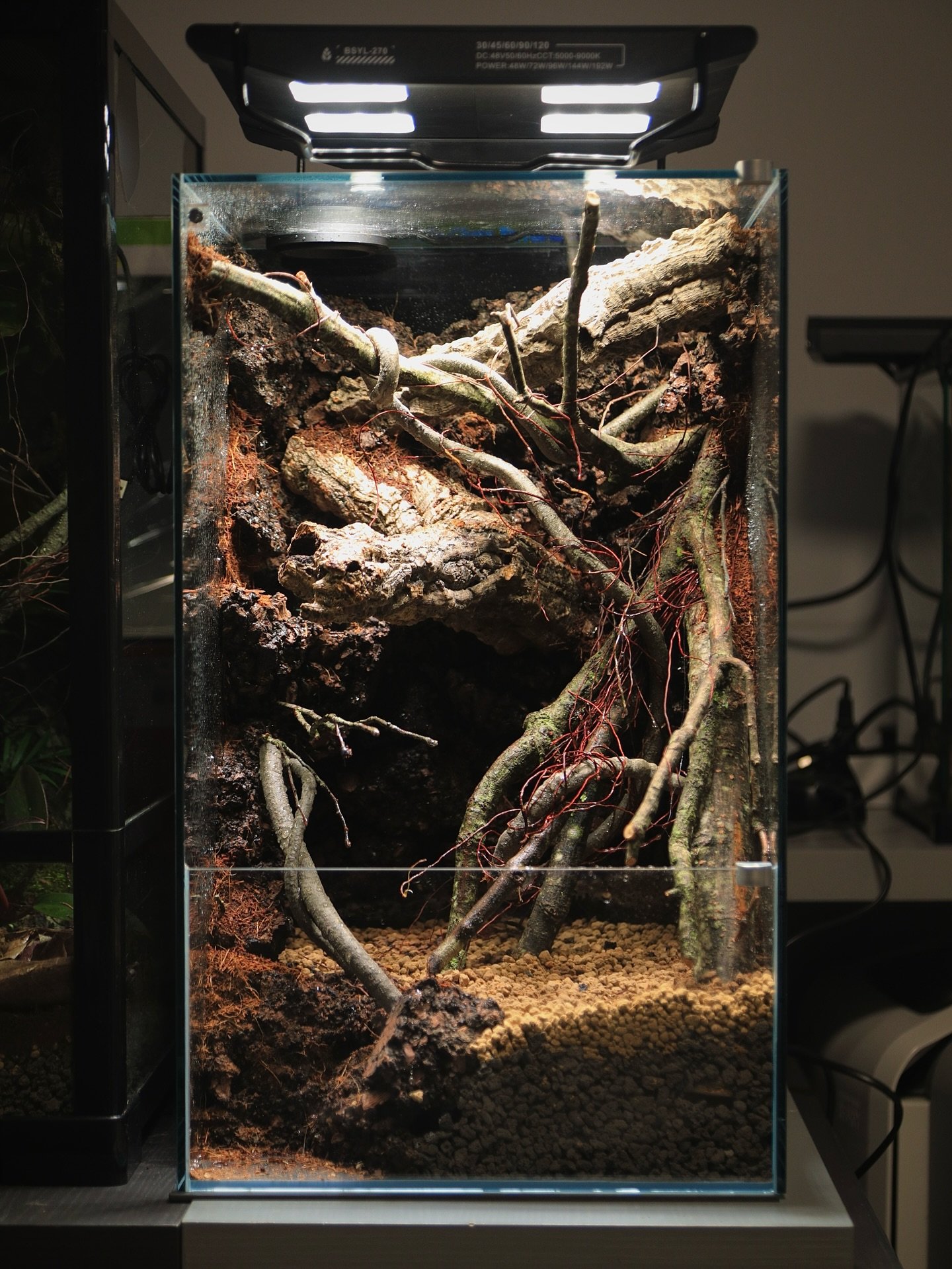 為客戶度身訂造 無邊際生態缸，輕鬆將大自然嵌入家中玄關或角落。
頂部可選網蓋，方便安置各種燈具。