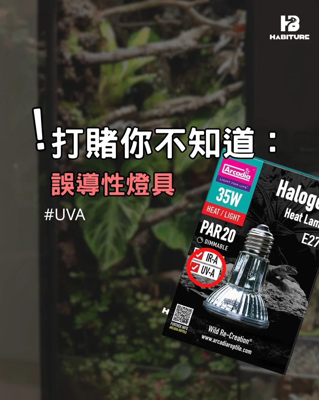 在香港認真講燈具的人有幾個？就算有，很多觀念也早已過時。
站在巨人的肩膀上，我之後也會分析並整合各個平台專家的心得，再分享給大家，希望盡棉力改善飼養風氣。
💡歡迎討論及補充！
ℹ️需要一手/二手資料，請參考最後鳴謝頁。

#爬蟲燈具