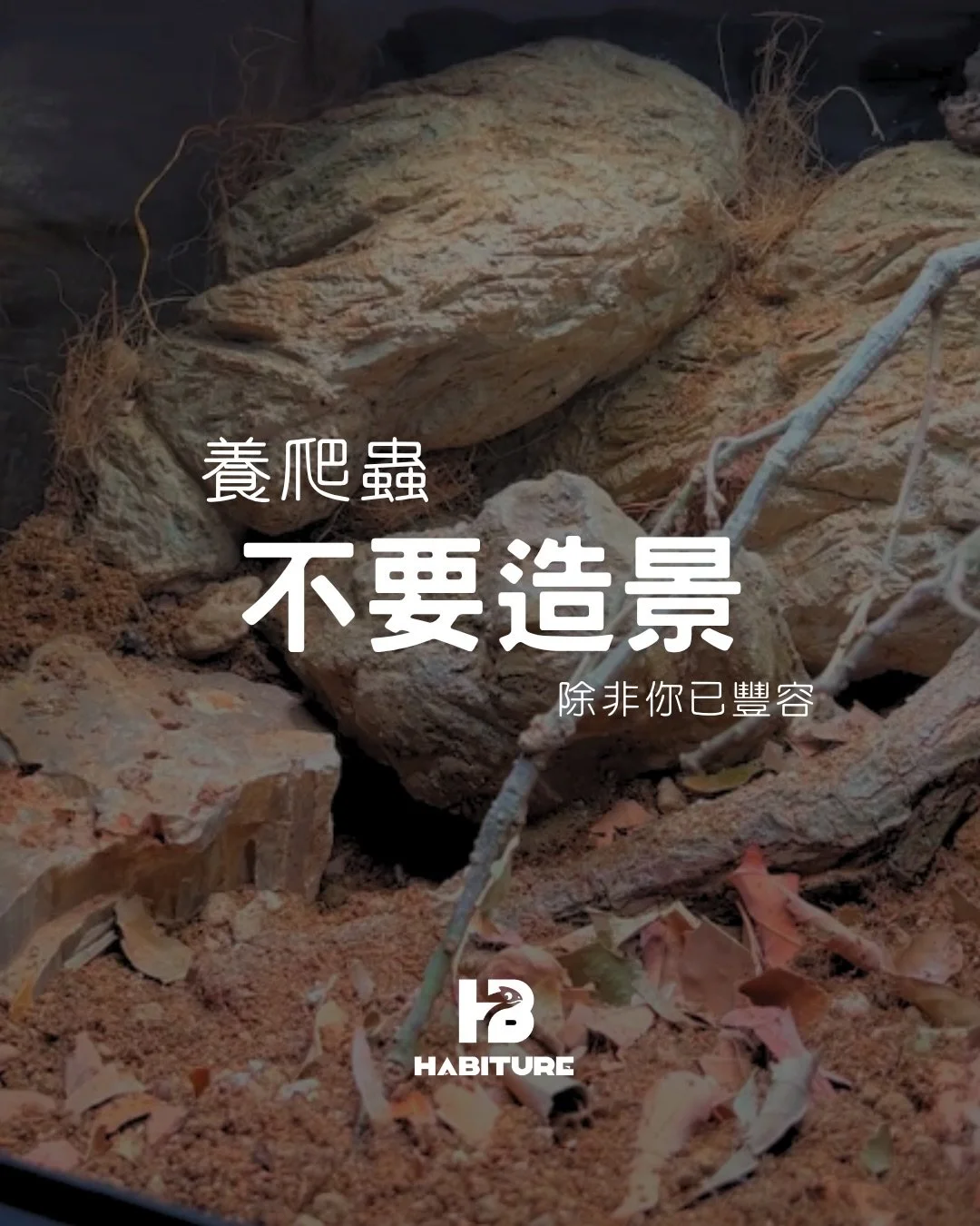 對不起，墜落飛機的缸放守宮真的很好笑😂，玩藝術但是不考慮比例的，不會是超現實風格吧？
另外那些發泡膠苔蘚缸，你還是專心玩苔蘚，先不要放出來當生態缸賣。