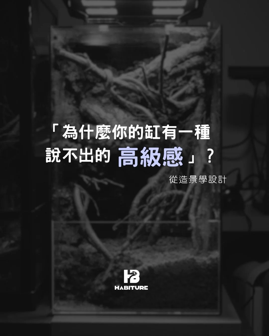 今天不講爬蟲，講一講美感。
「美」其實是有客觀性的。大部分藝術品都會遵從這些設計原則，經常下意識去留意，下次你進羅浮宮的眼神都會變了。

最後頭盔：一切以實用性為先，如無能力切勿模仿