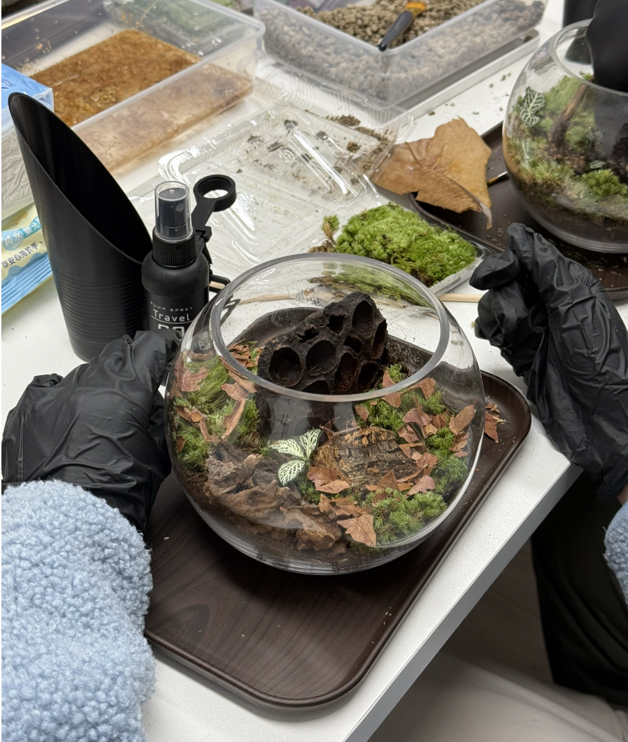 Terrarium workshop