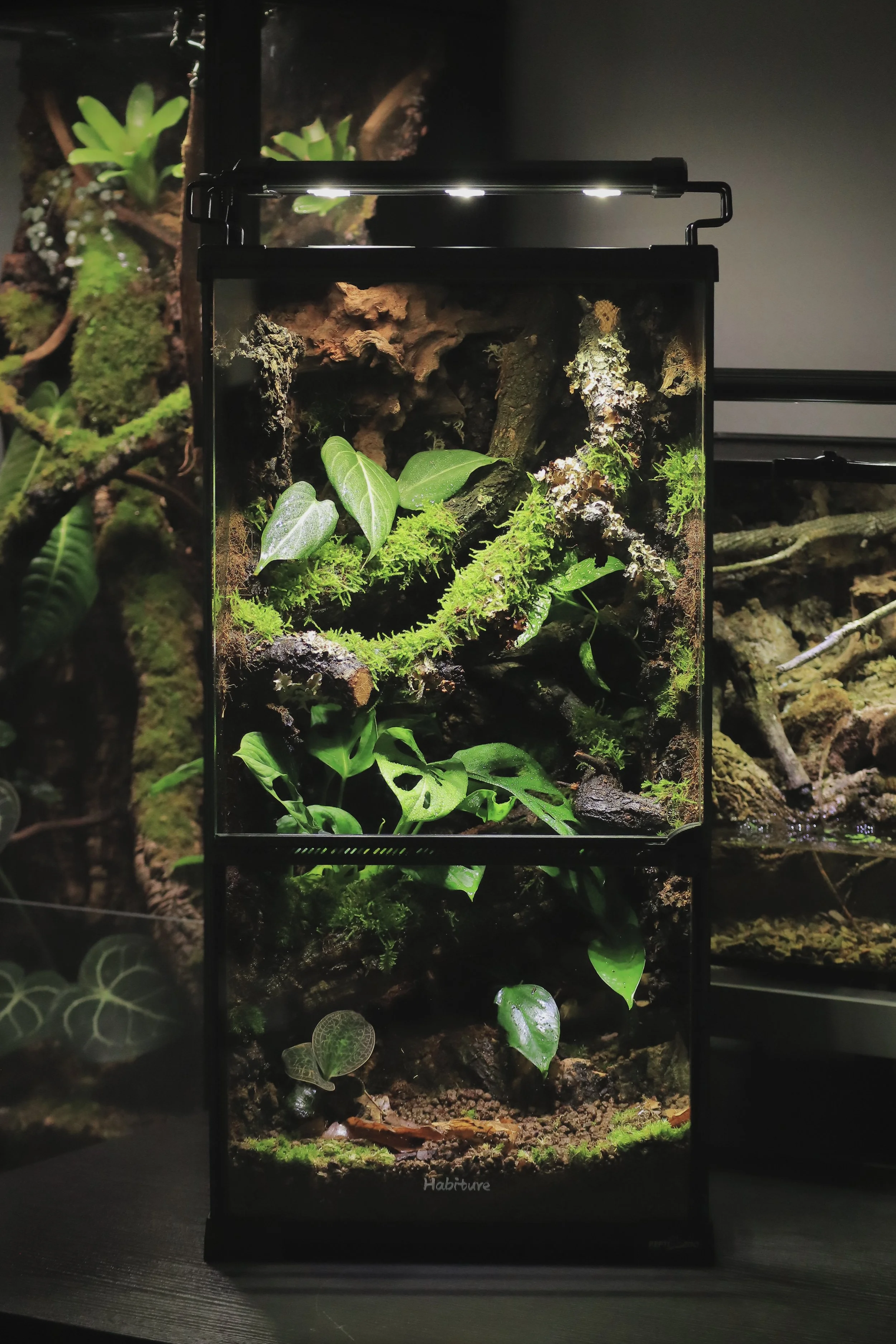 Bioactive Enclosure
