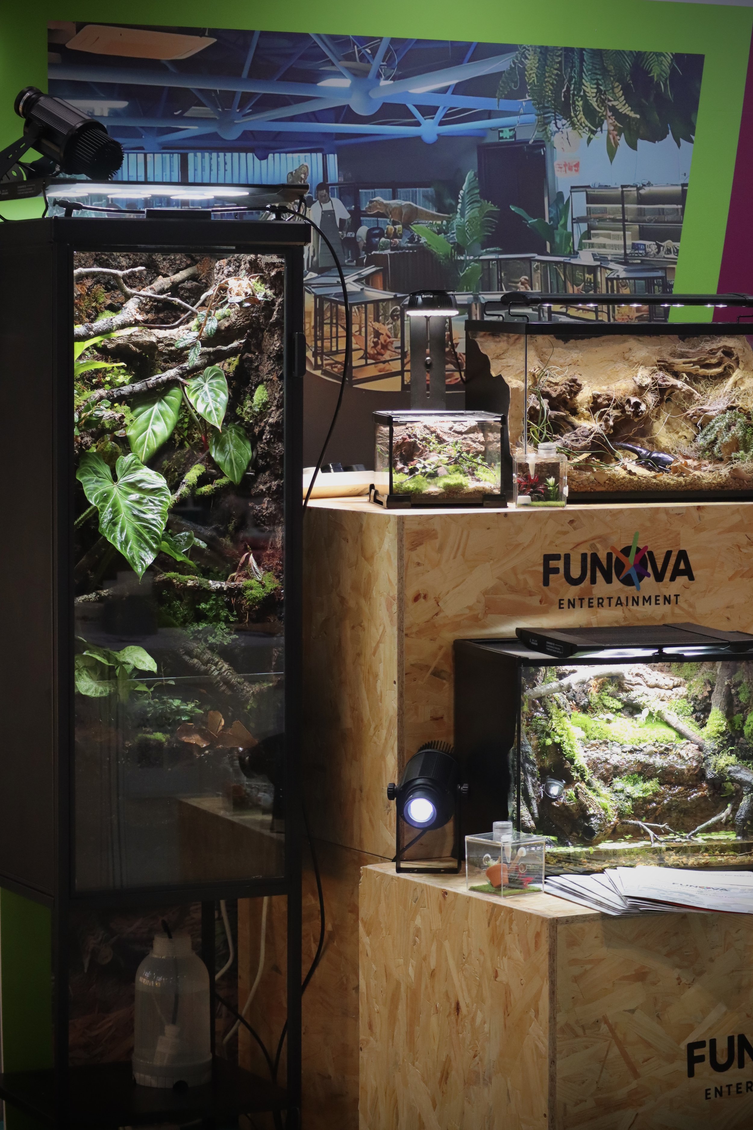 Bioactive Reptile Gallery