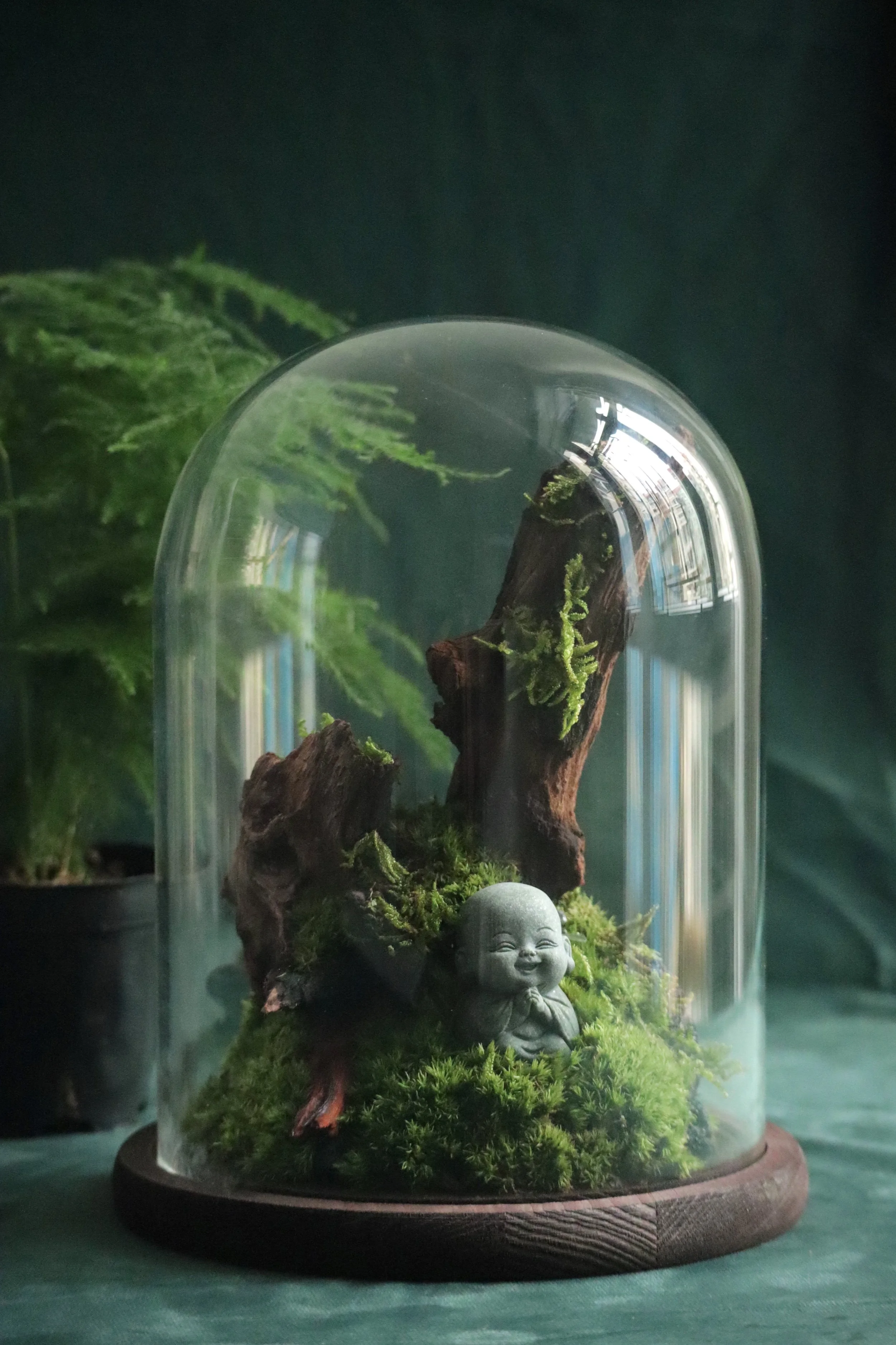 Terrarium