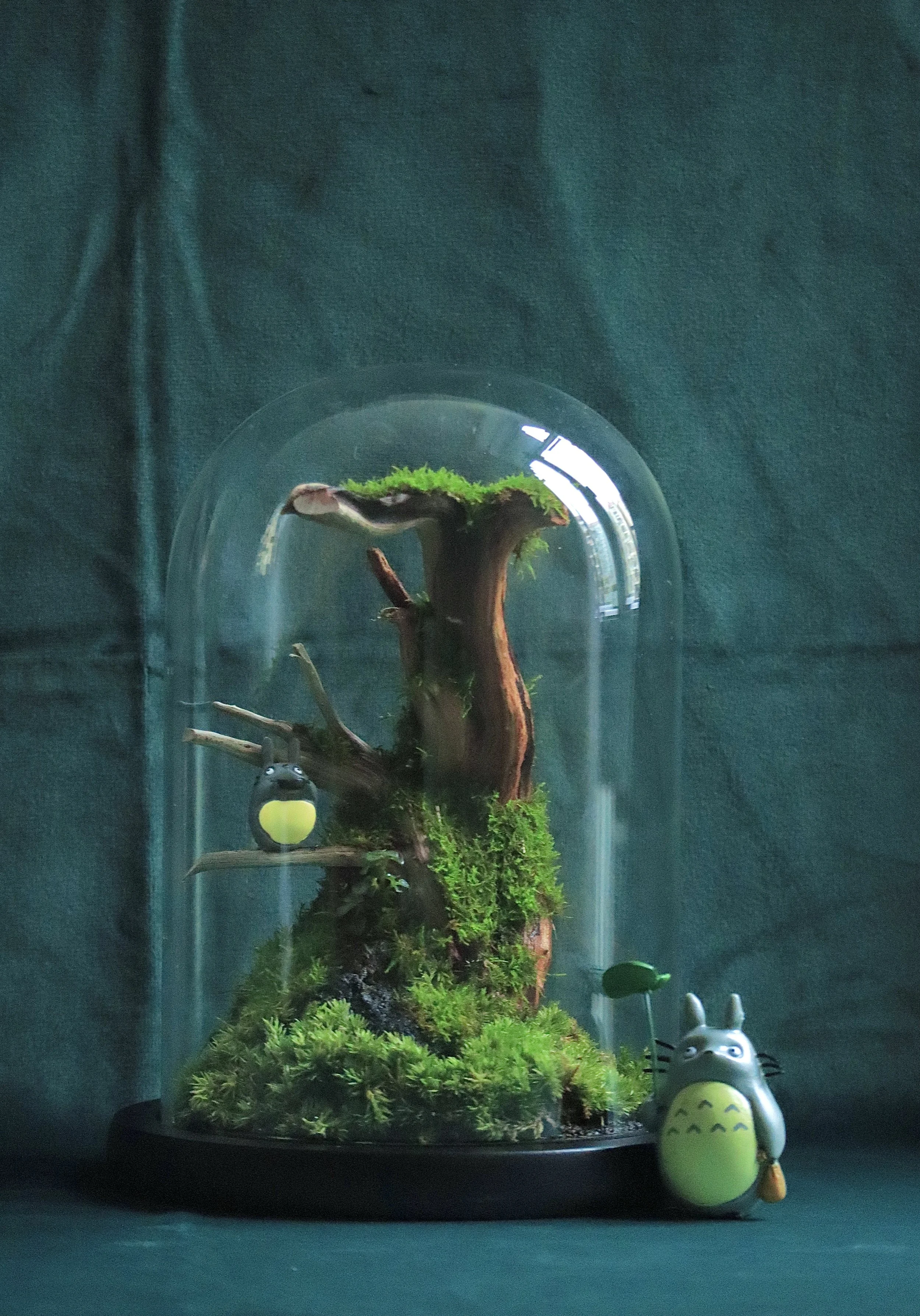 Terrarium