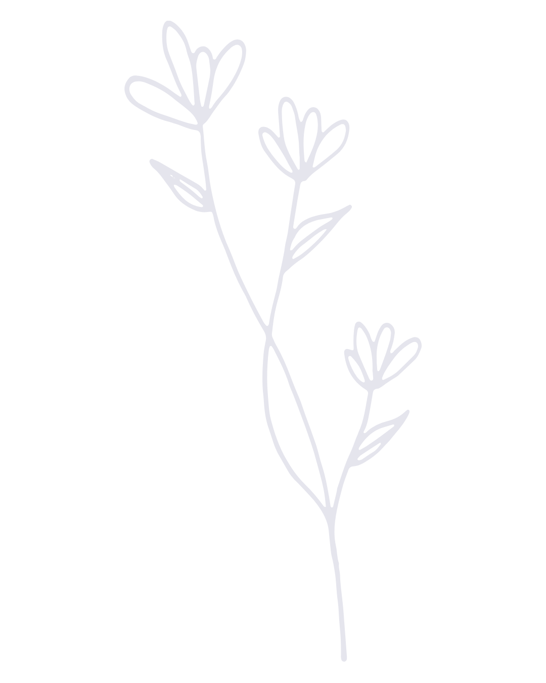 A minimalist line drawing of a flowering plant with multiple small flowers and slender leaves on a black background.