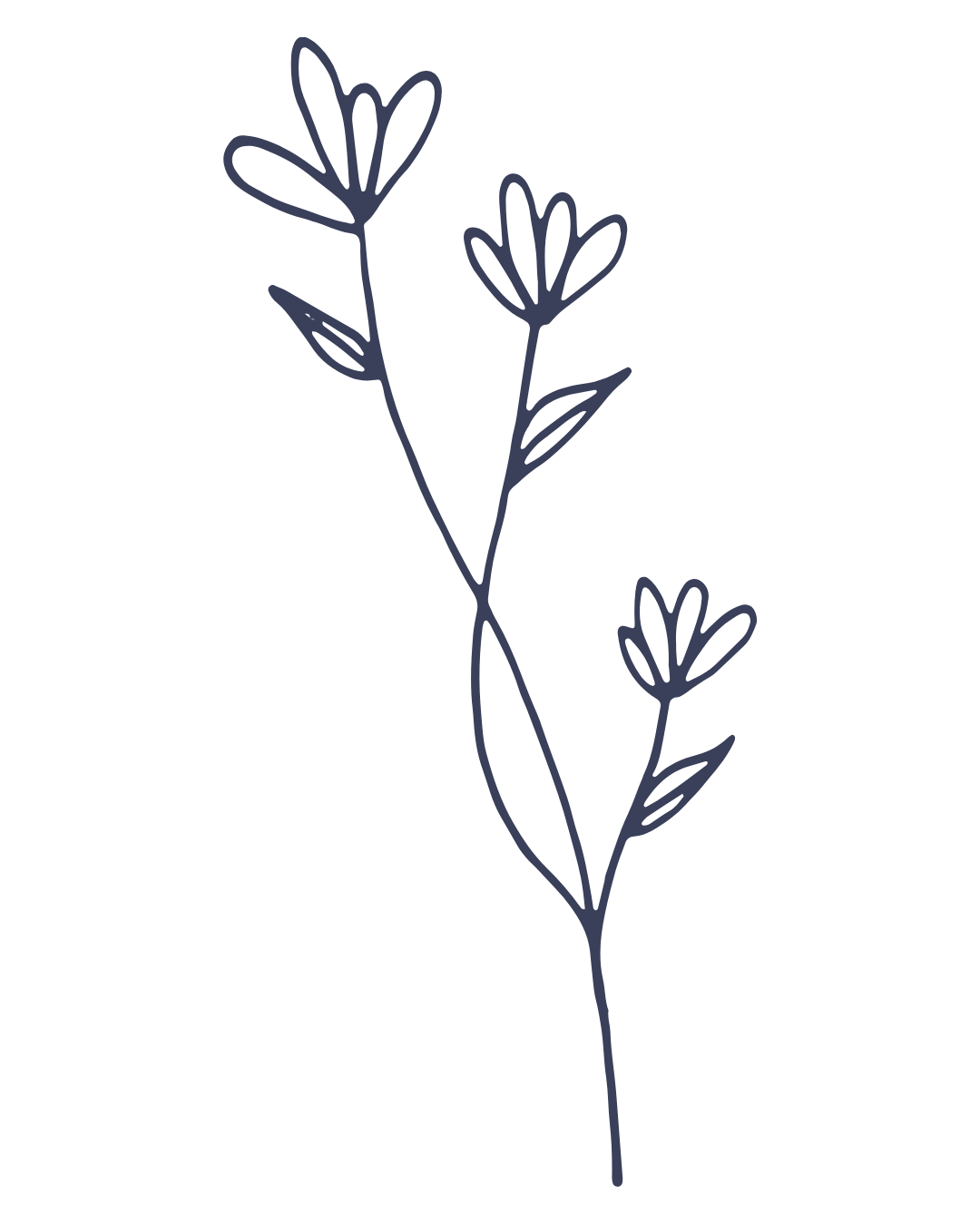 Minimalist line drawing of a sprig with three flowers and leaves.
