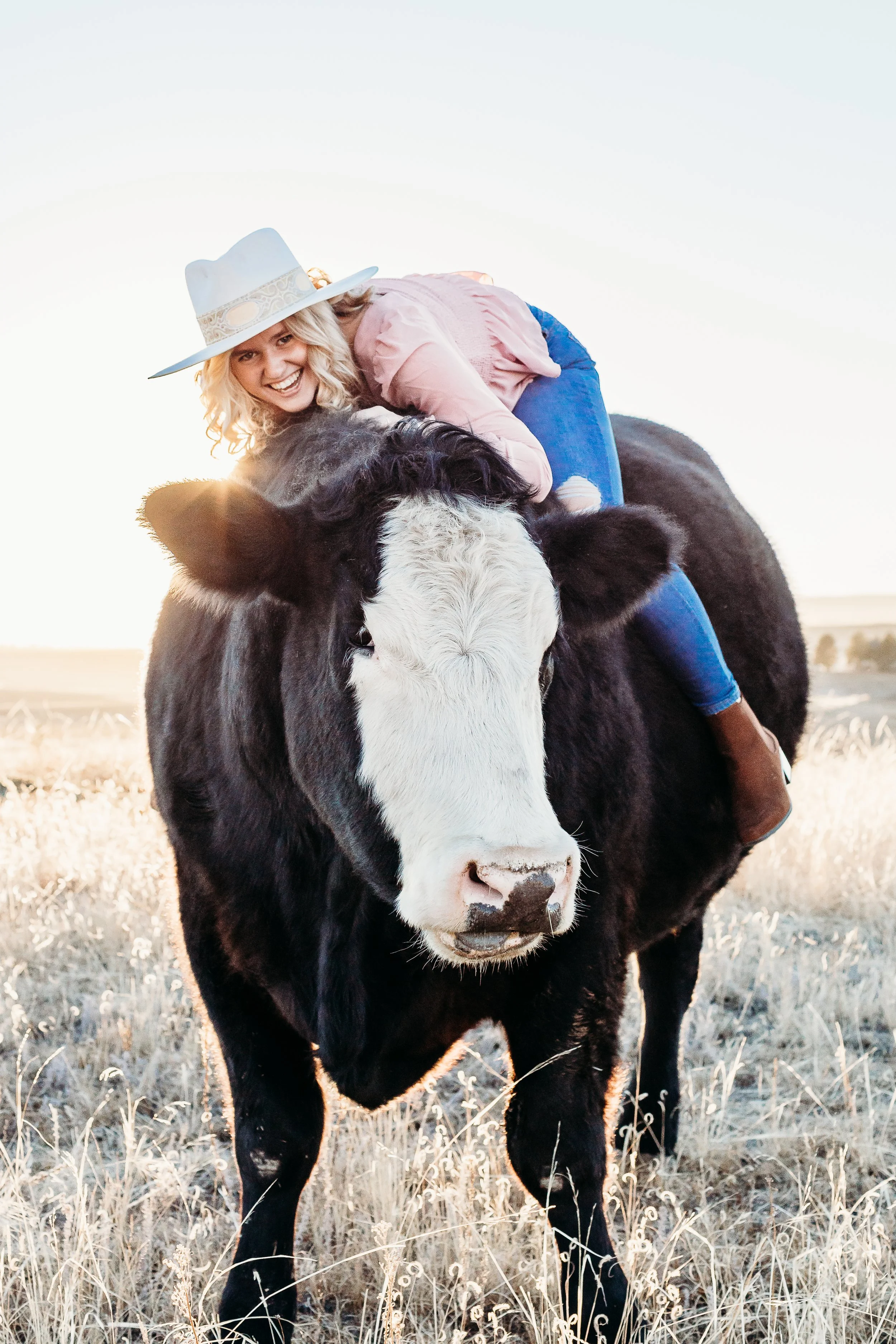 A woman in a pink shirt, blue jeans, and a white cowboy hat riding a large black and white cow in a field during sunset.