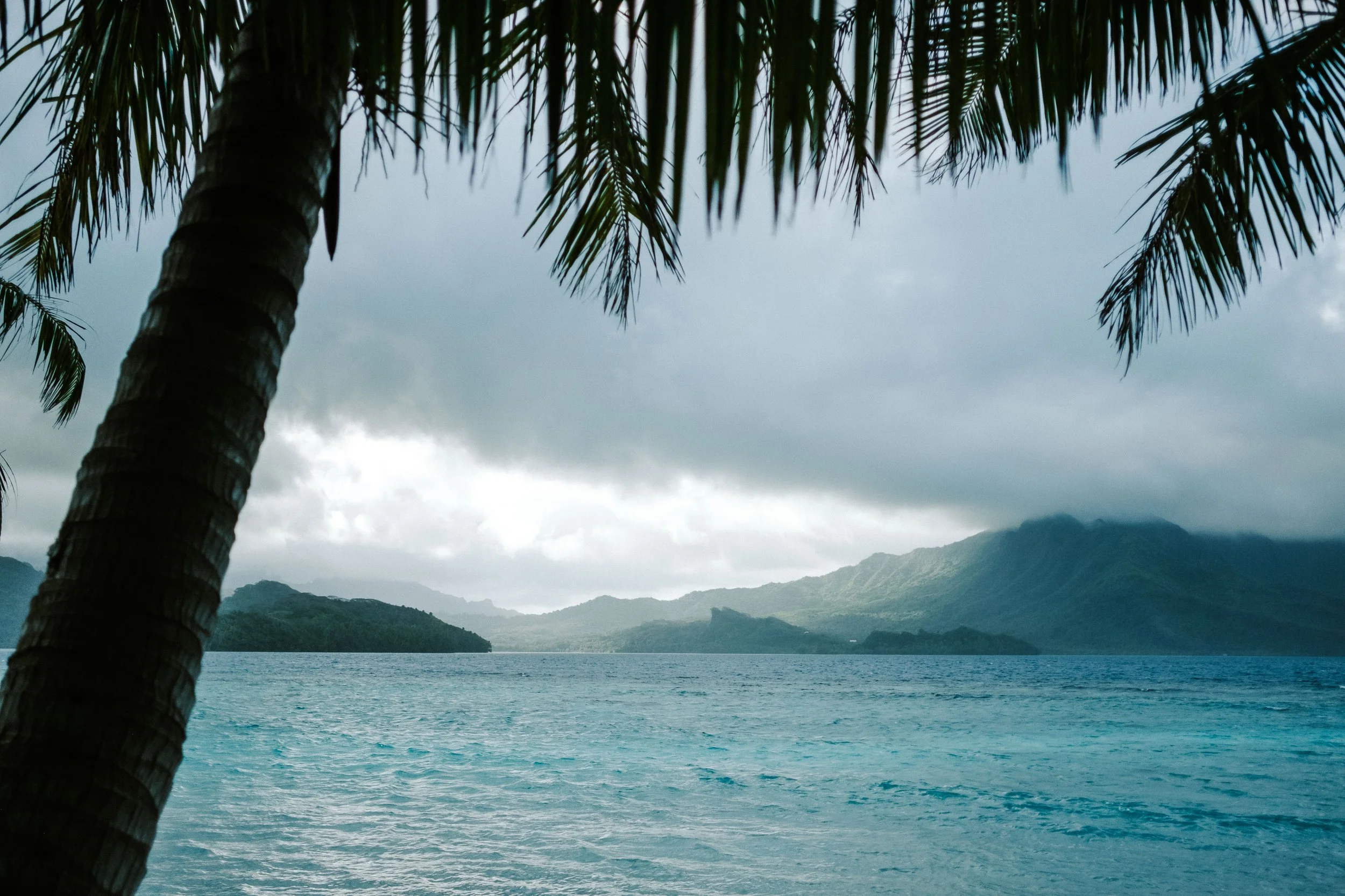 Plage tropicale avec palmiers, eau bleue, montagnes en arrière-plan et ciel nuageux.