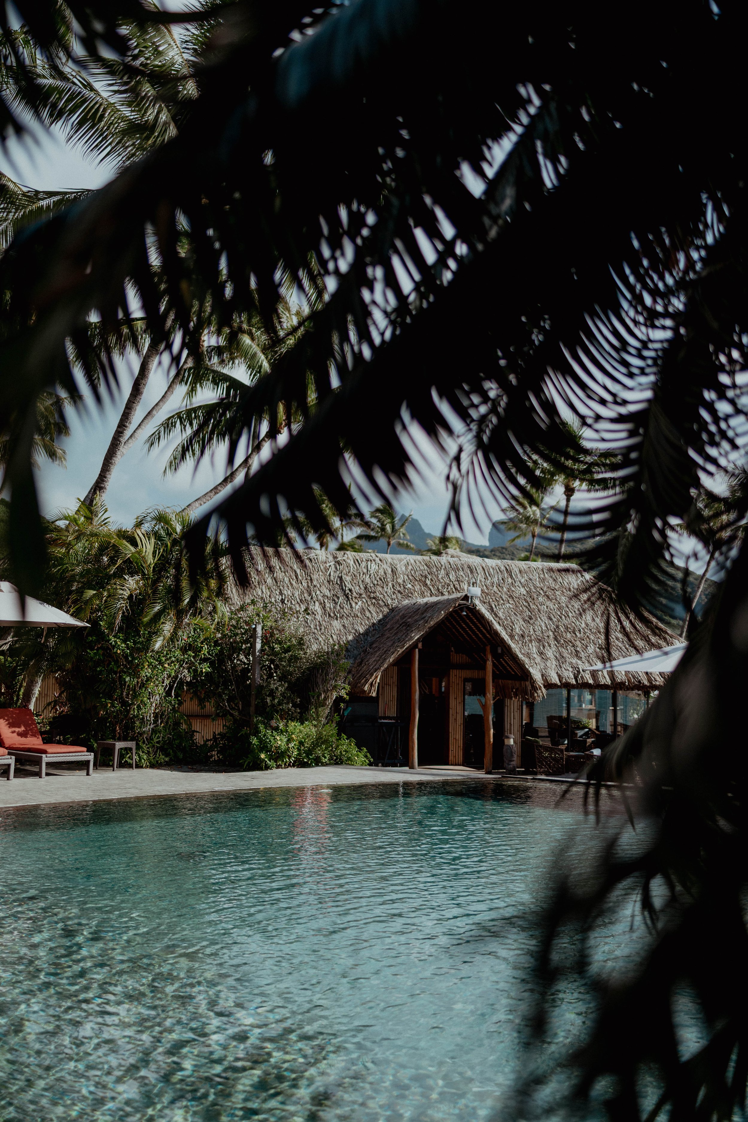 LeMoana x Tinihau-103.jpg