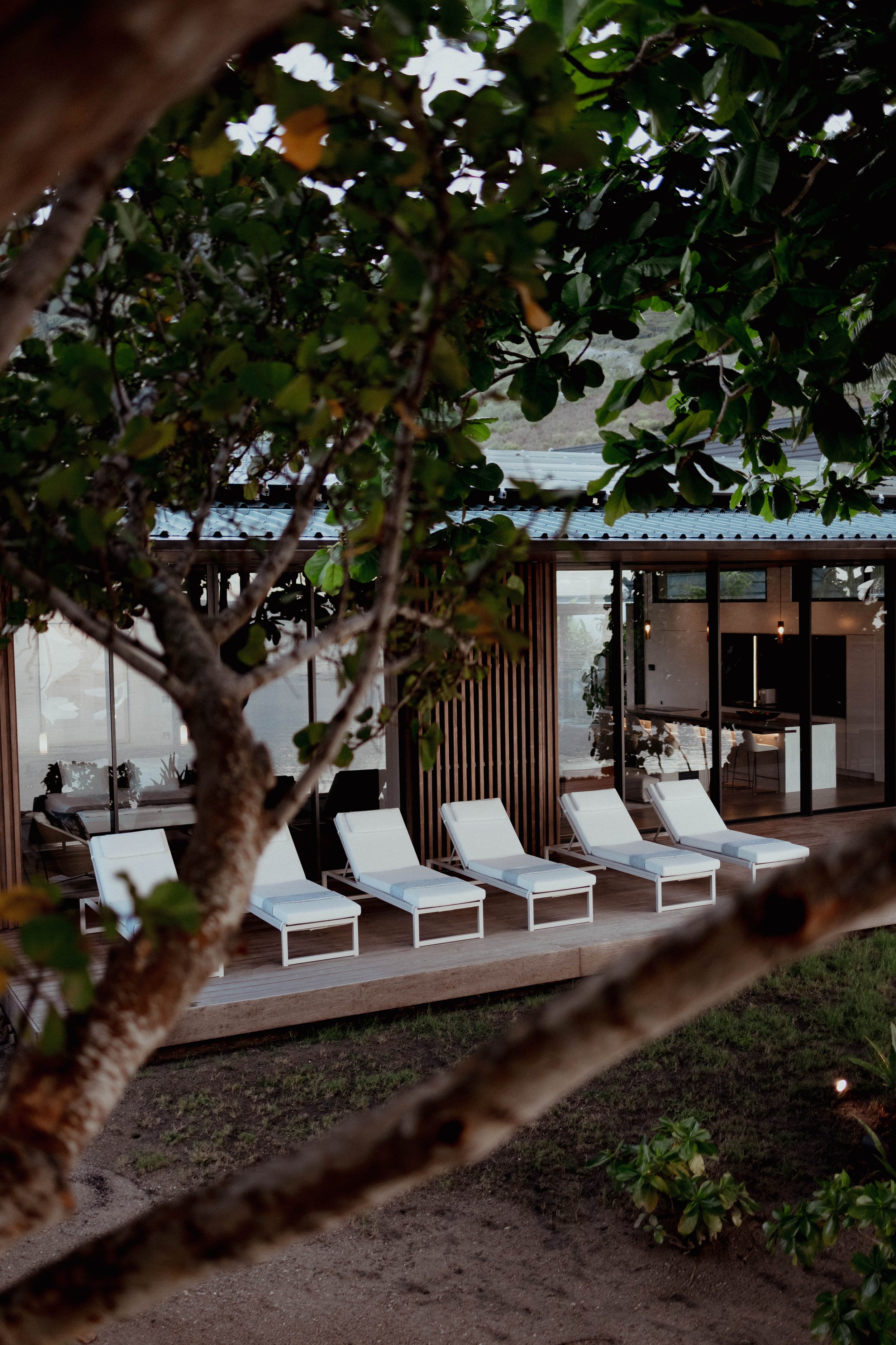 Chaises longues blanches sur une terrasse en bois à côté d'une maison moderne avec beaucoup de fenêtres, vue à travers un feuillage d'arbre.