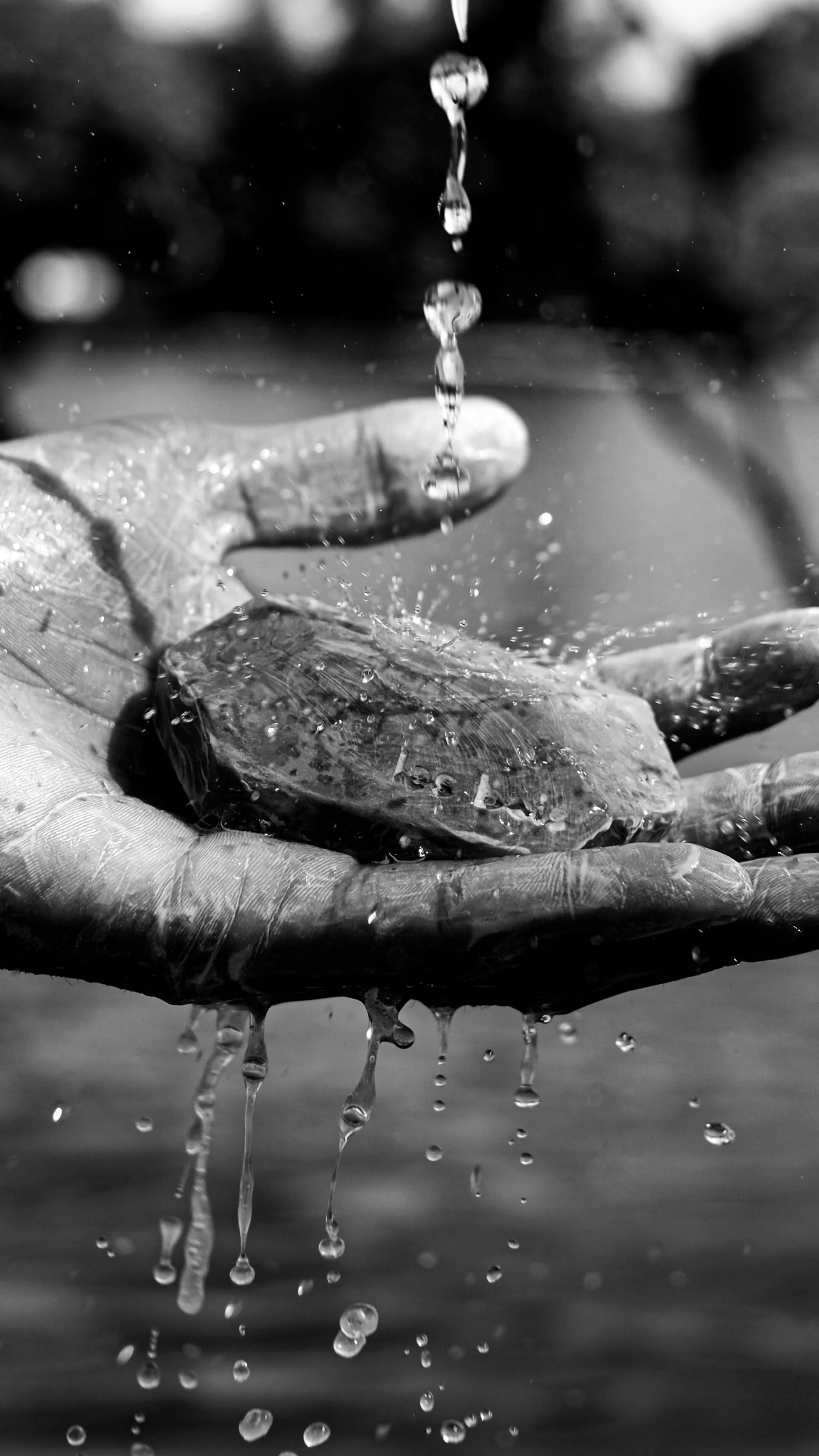 Une main tient une pierre humide avec de l'eau qui coule dessus et tombe dans un corps d'eau, en noir et blanc.