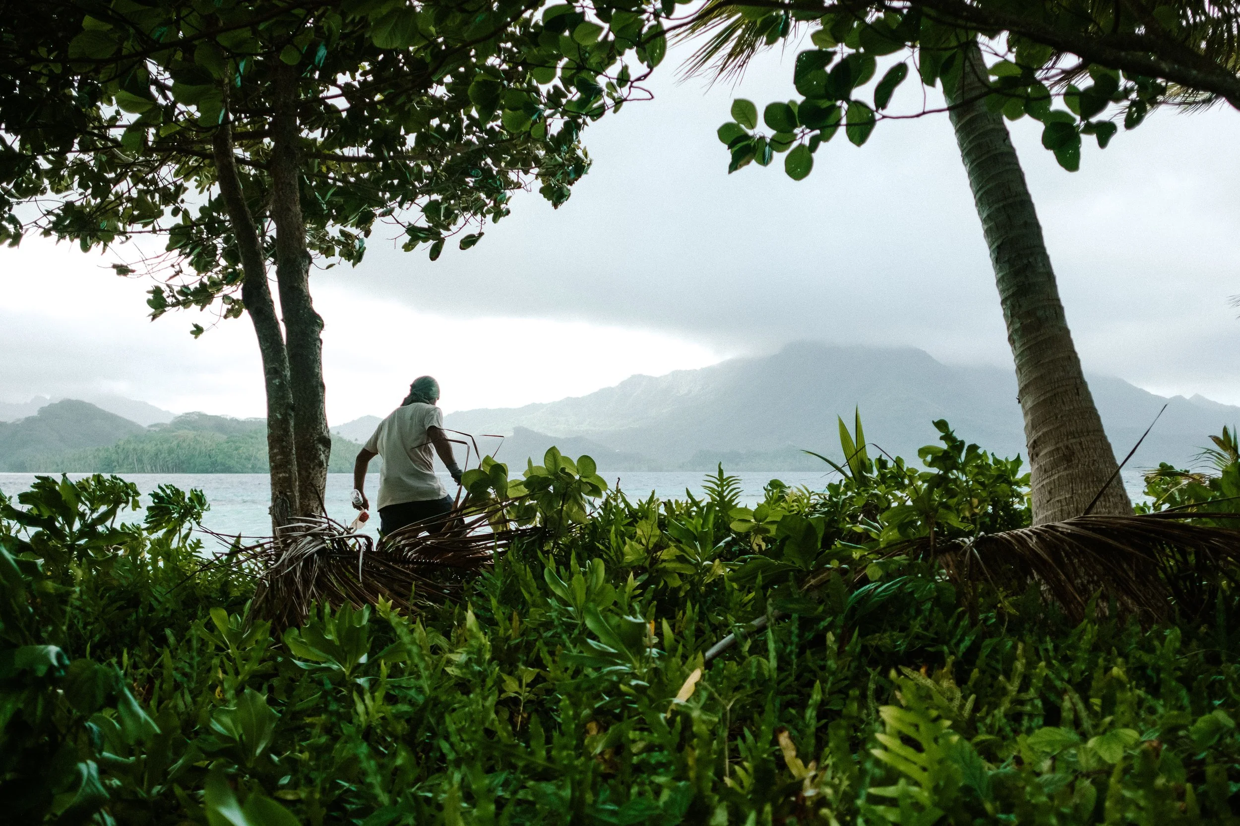 Un homme marche dans une végétation dense près d'un plan d'eau, avec des montagnes en arrière-plan et un ciel nuageux.
