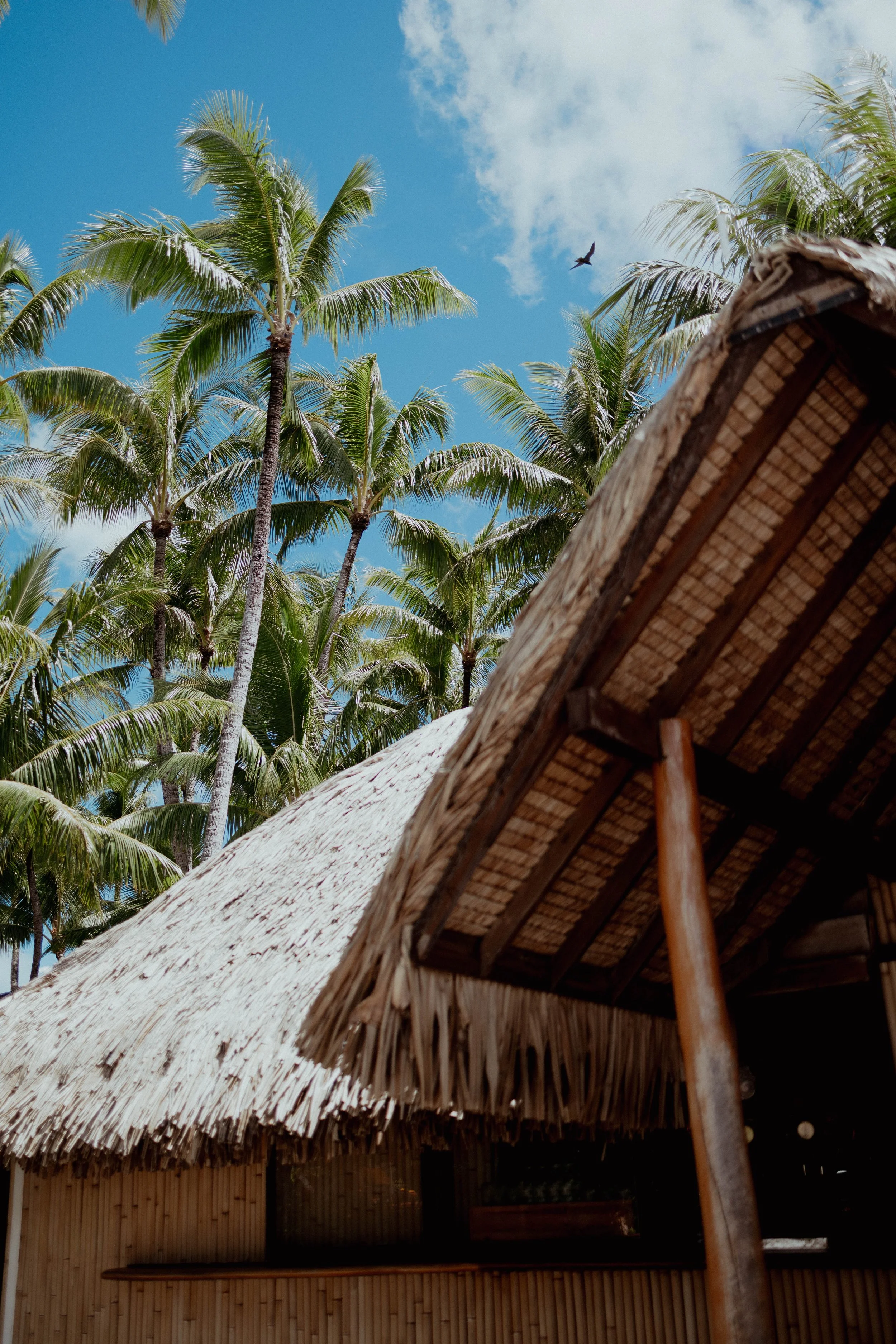 LeMoana x Tinihau-117.jpg