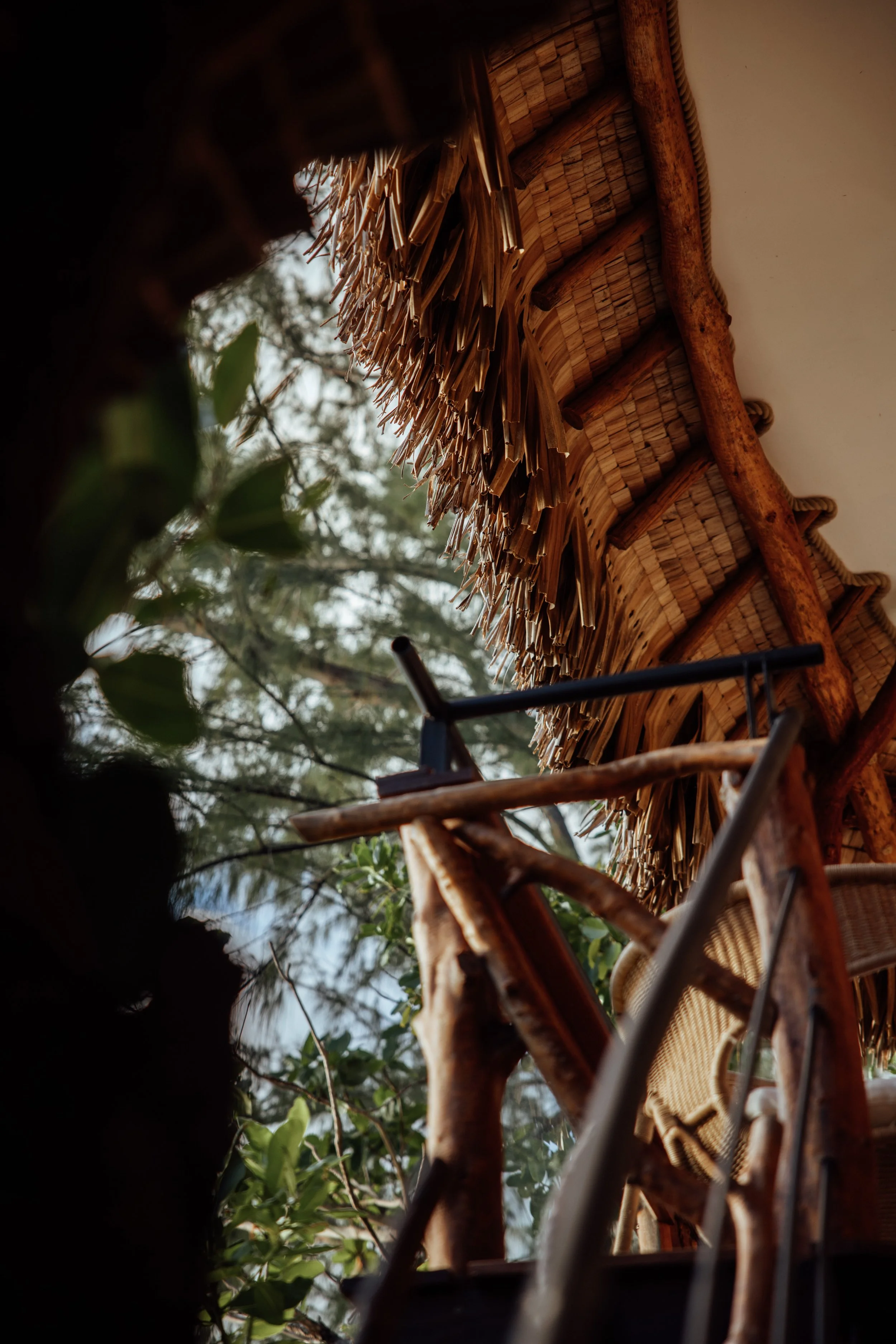 Vue degagée d'une cabane en matériaux naturels, avec un toit en feuilles de palmier, entourée d'arbres et de verdure.
