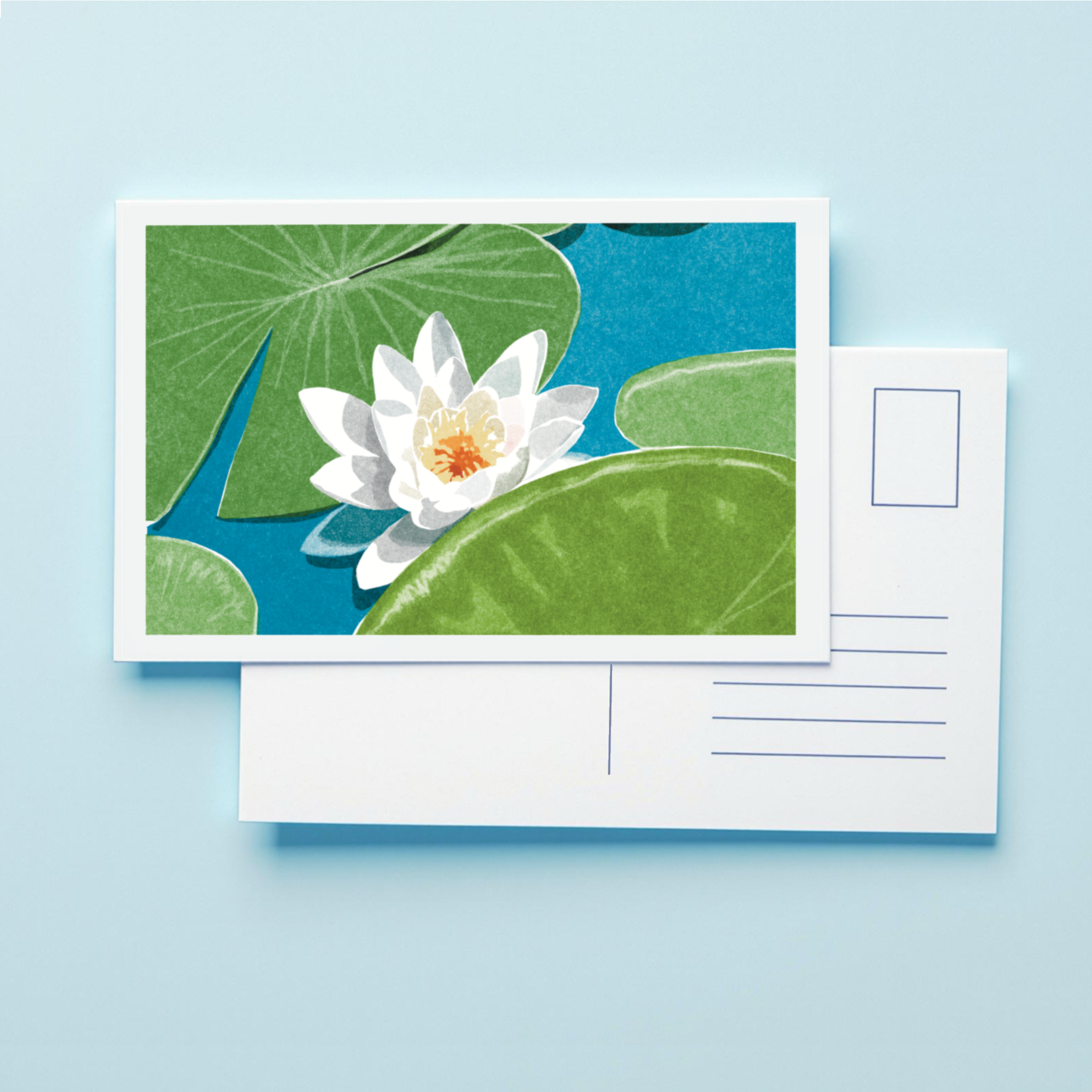 Prints & Illustrations