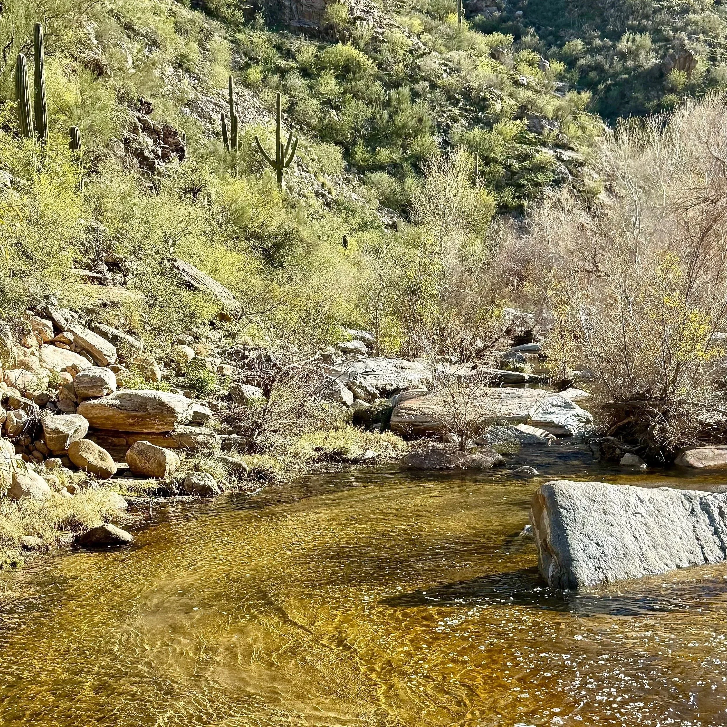 Inspired by the amber waters of Sabino Creek navigating through Sabino Canyon, this line isa. reminder of the serenity of flowing water