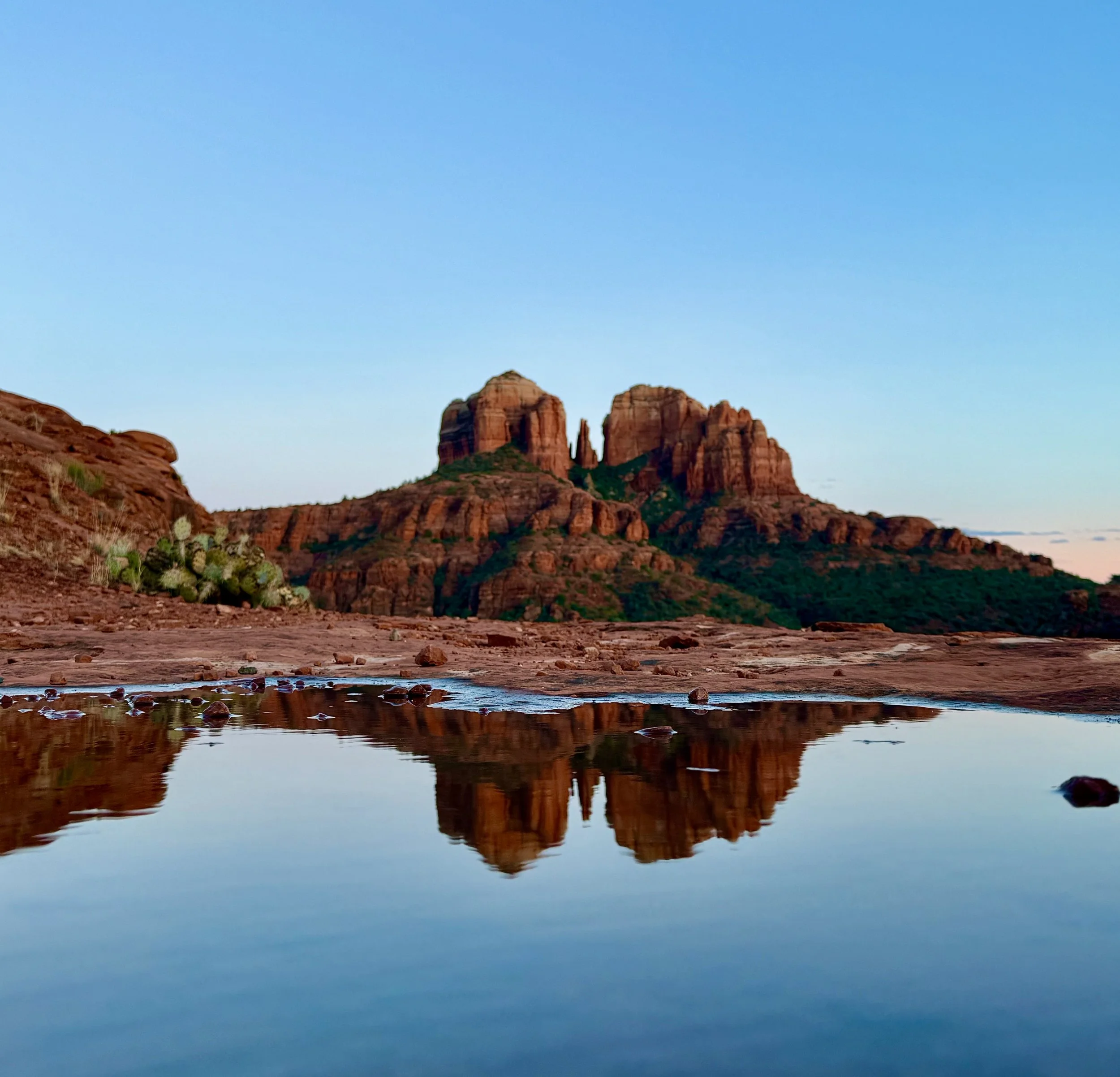 Red rock formations with green vegetation and cacti, reflected in a small pond, sunset sky.