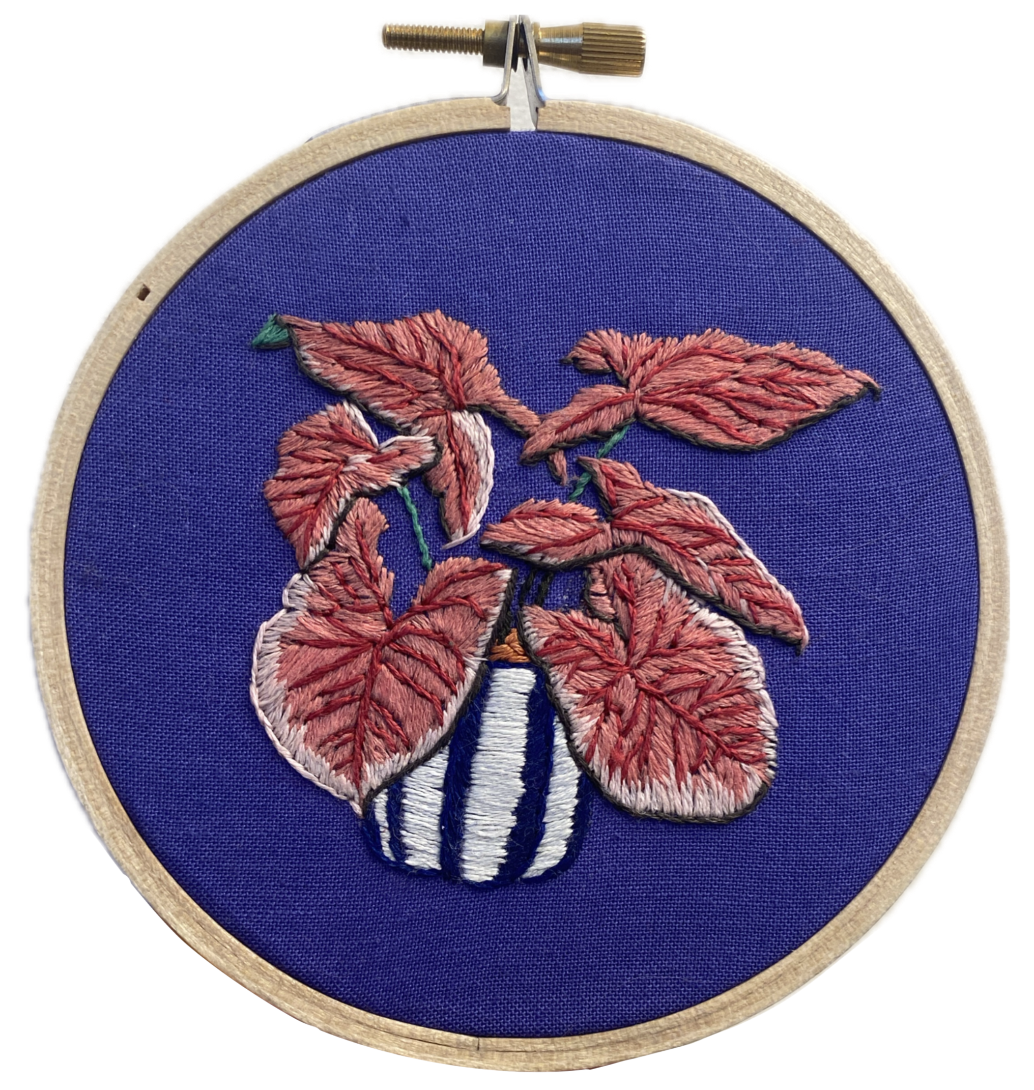 Pink Syngonium 4-inch Hoop