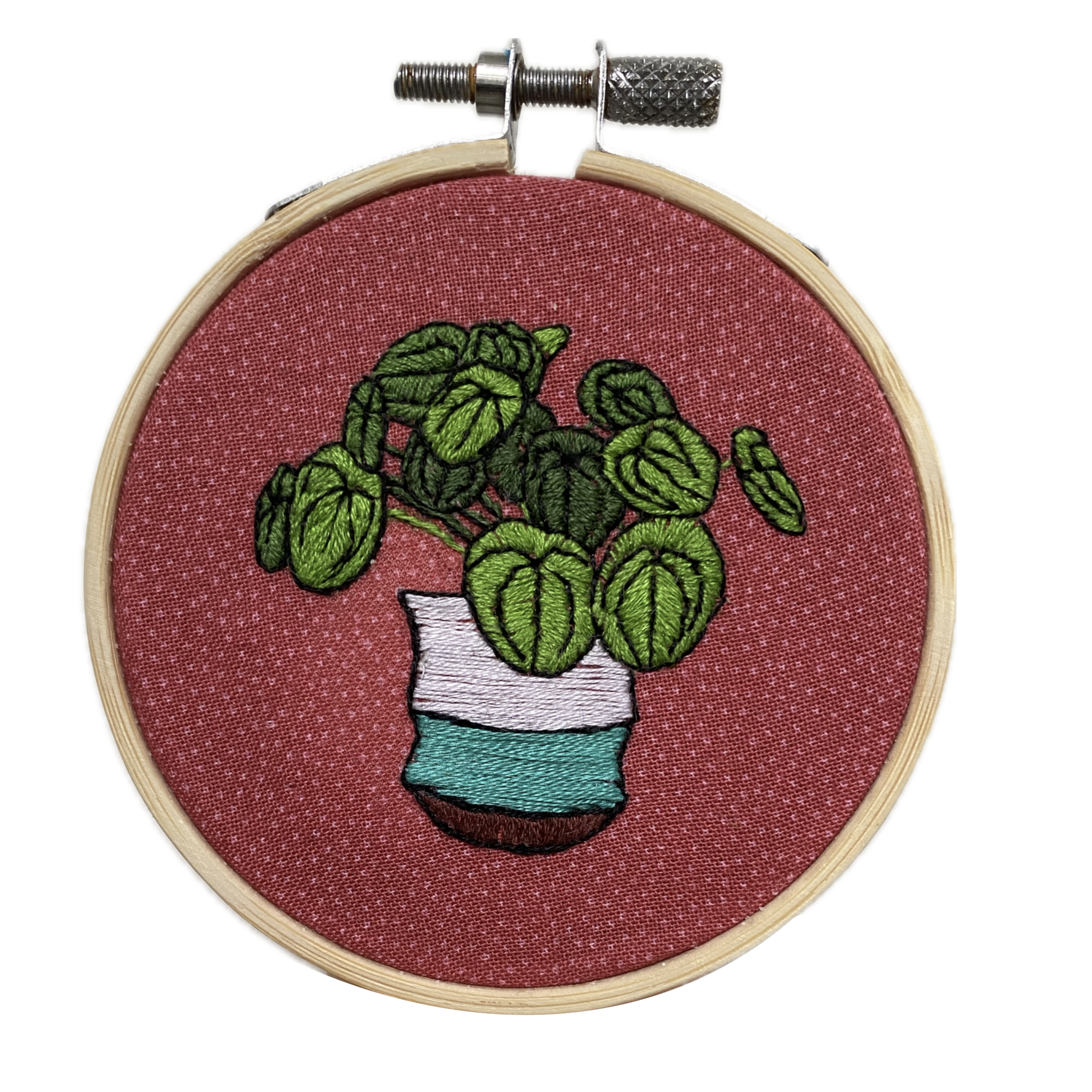 Pilea 3-inch Hoop