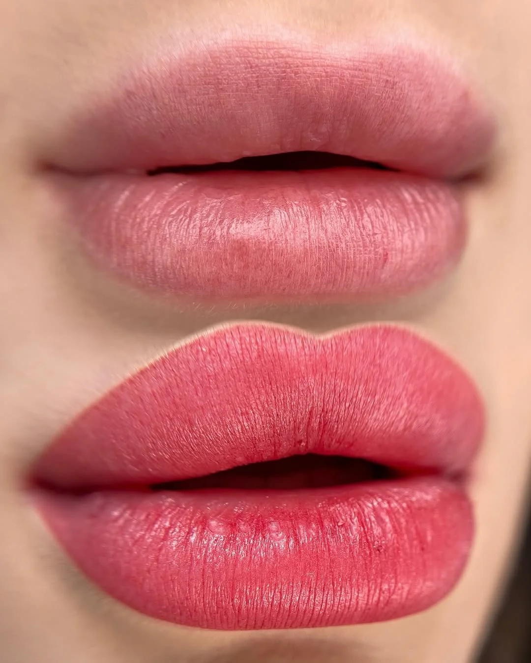 Close-up of pink lips, showing the top lip with a matte finish and the bottom lip with a slightly more glossy finish.