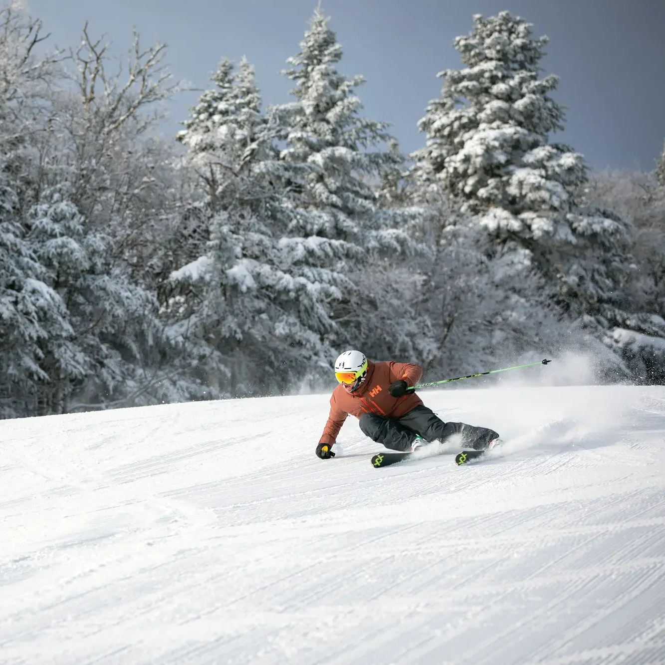 Skier in a brown jacket and black pants carving on a snowy slope with snow-covered trees in the background.