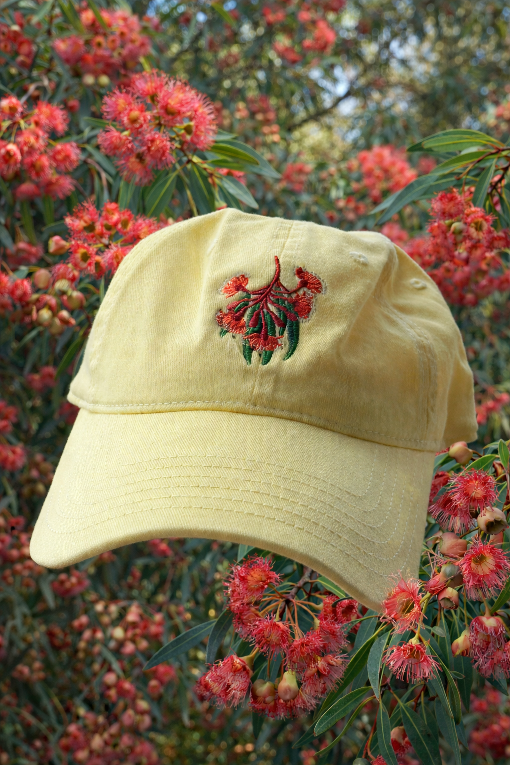 The Flowering gum Cap