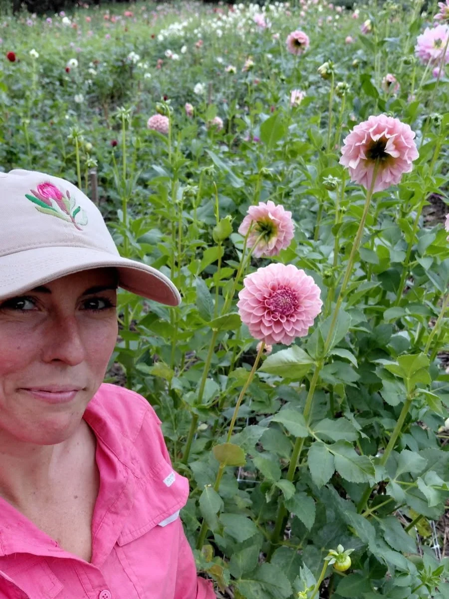 &ldquo;&hellip;all the things that can go wrong to grow a thing of simple beauty.&rdquo;

Amy Baker grows cut flowers in Hopkins Creek - just down the road from us. Dahlias, poppies, delphiniums. Alongside her partner Dane, and a deep sense of respon