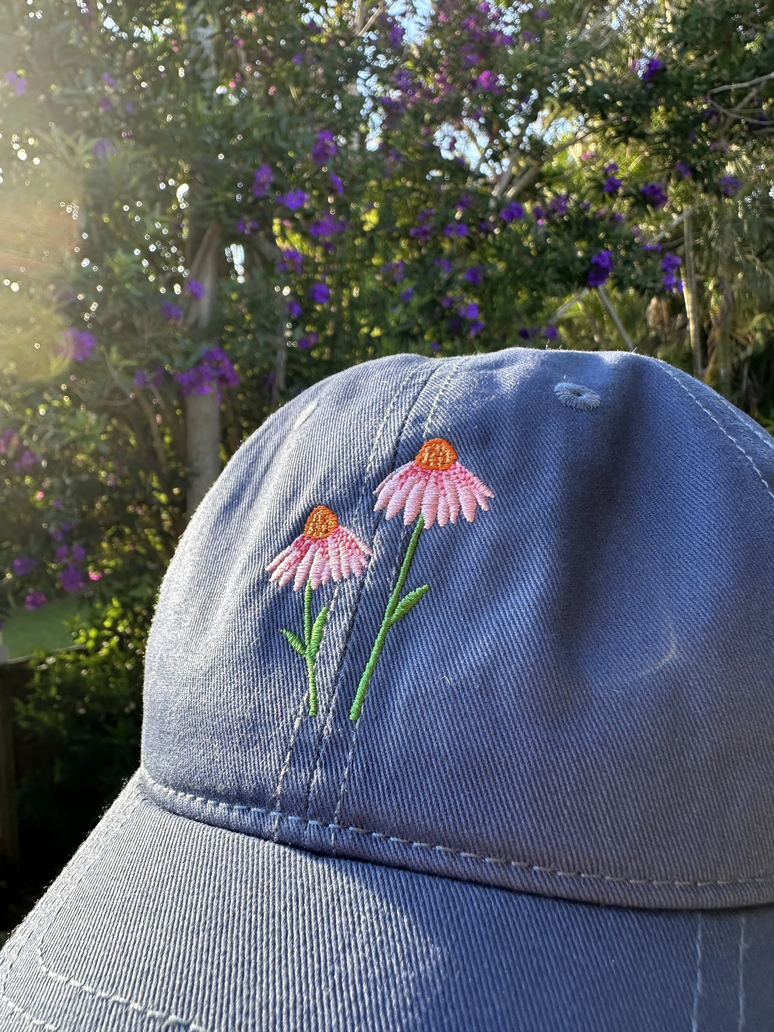 echinacea cap.jpg