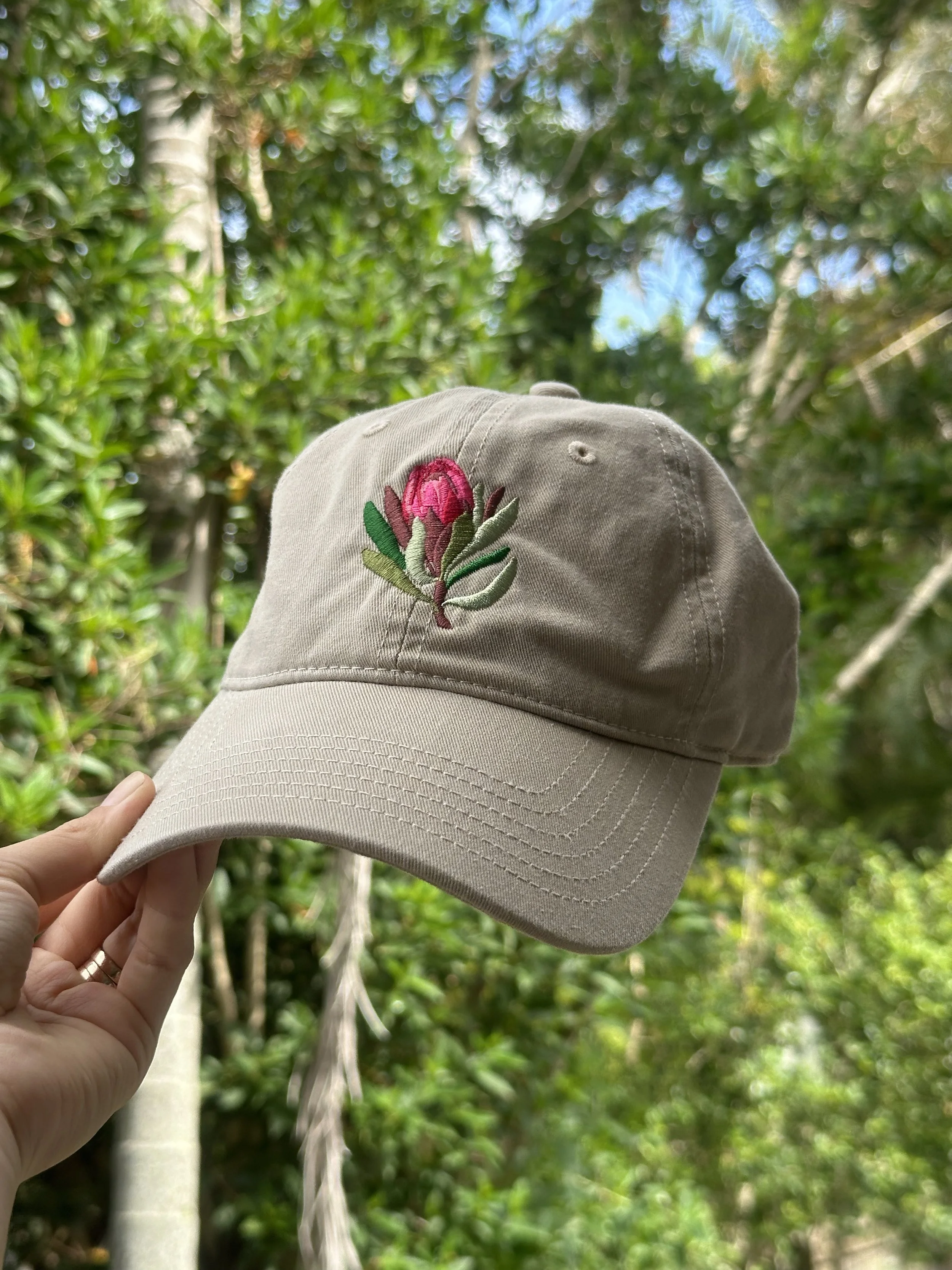 protea cap.jpg