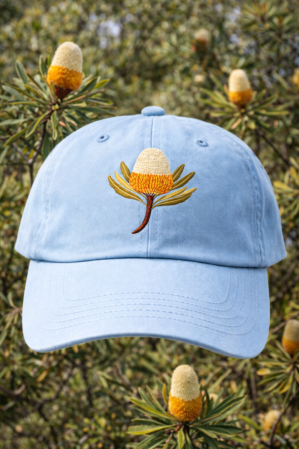 Banksia bloom on cap in focus.png
