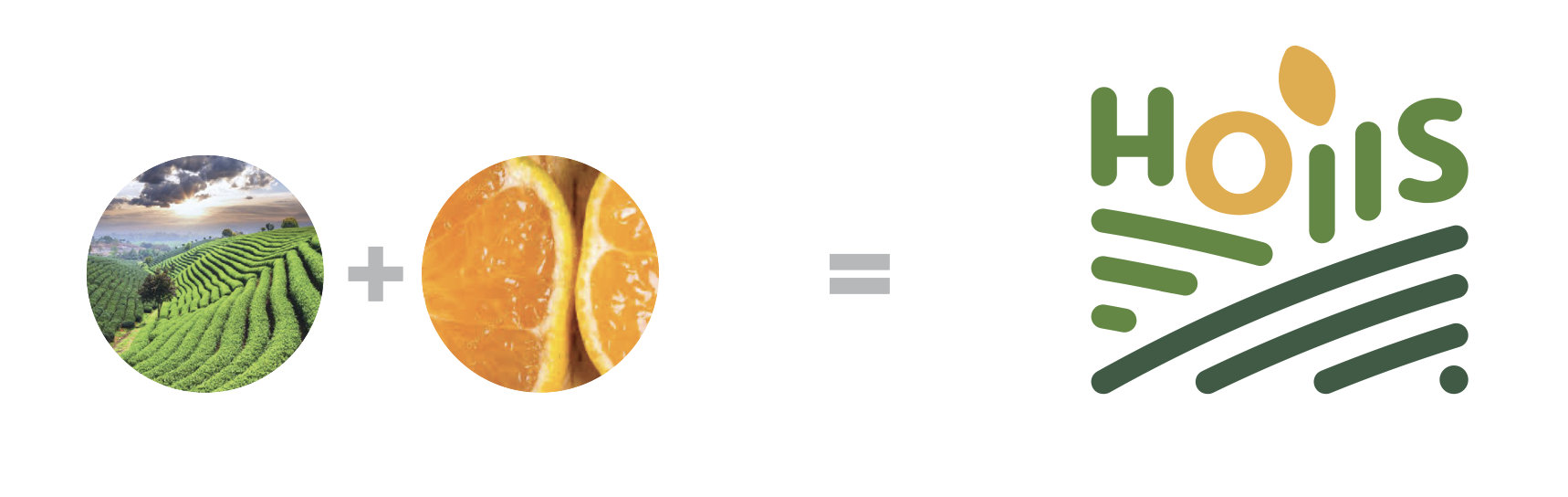 Hoiis 好集食品牌概念組成與視覺邏輯