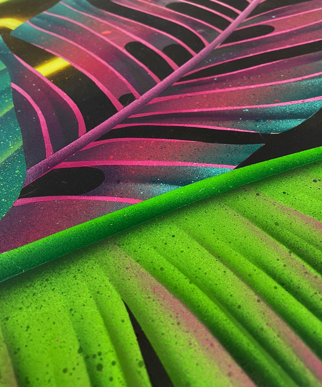 觀葉植物不為人知的一面