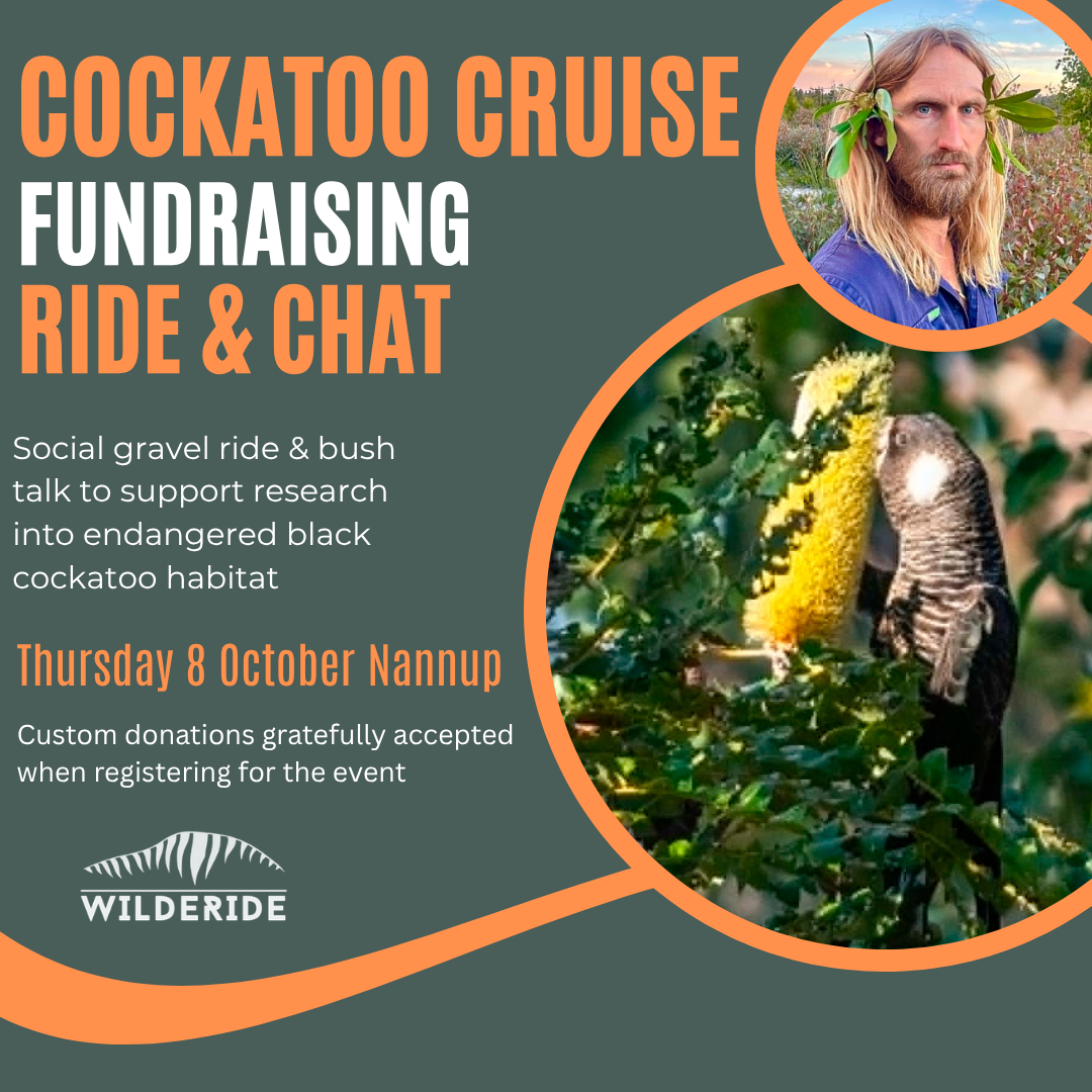Cockatoo Cruise & Chat Information
