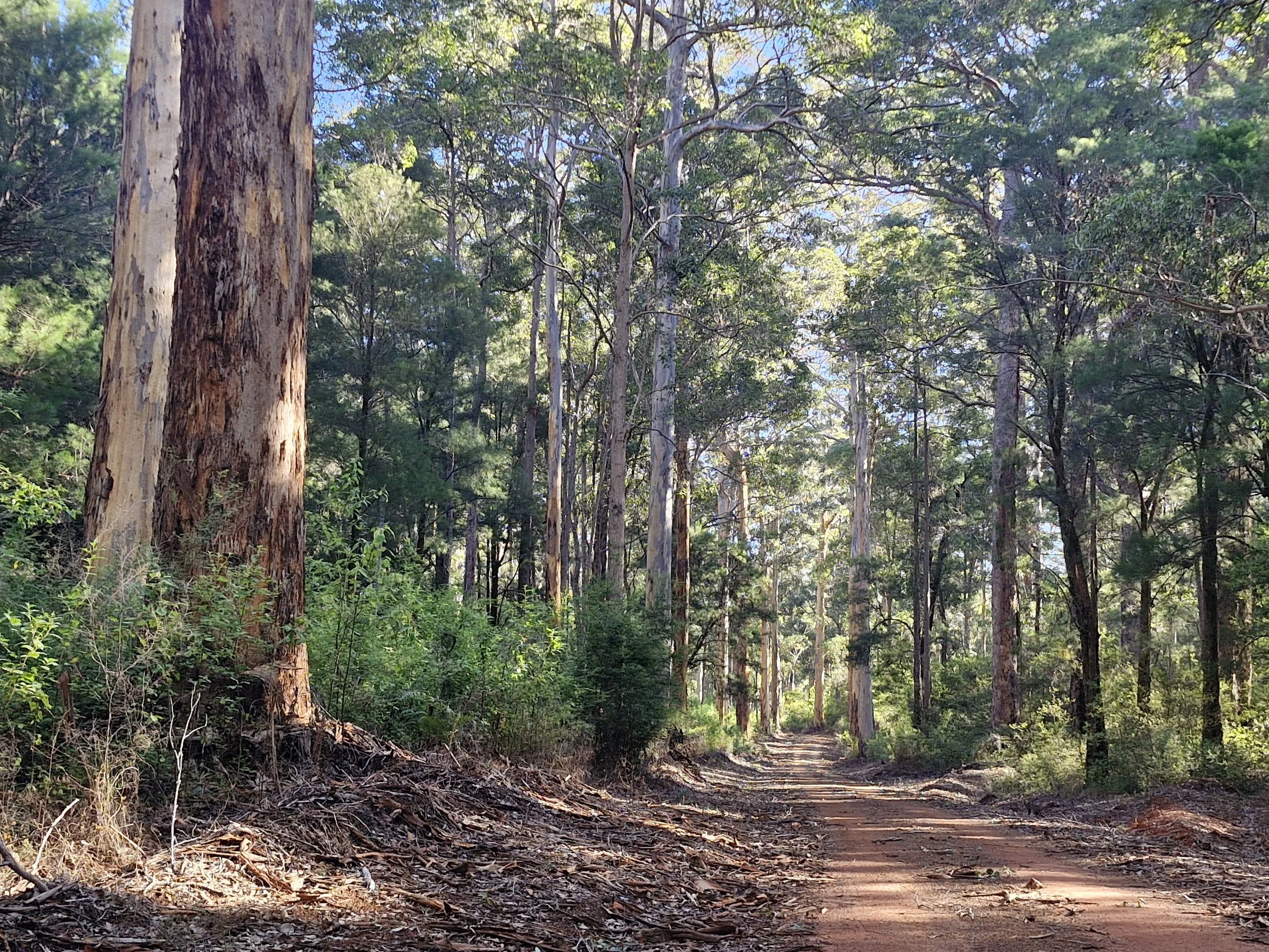 South West Gravel Adventure Balance