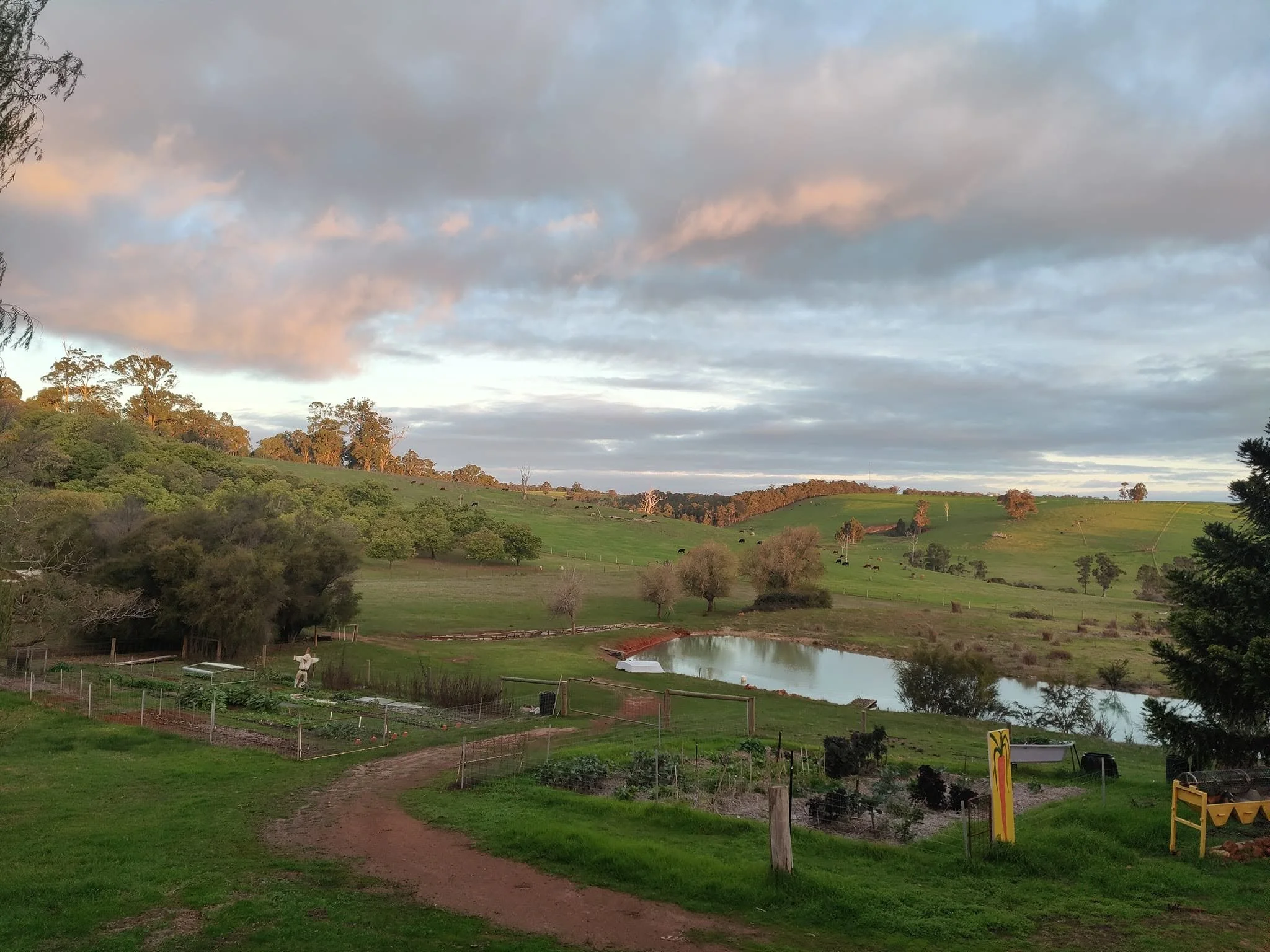 chestnut brae fb.jpg