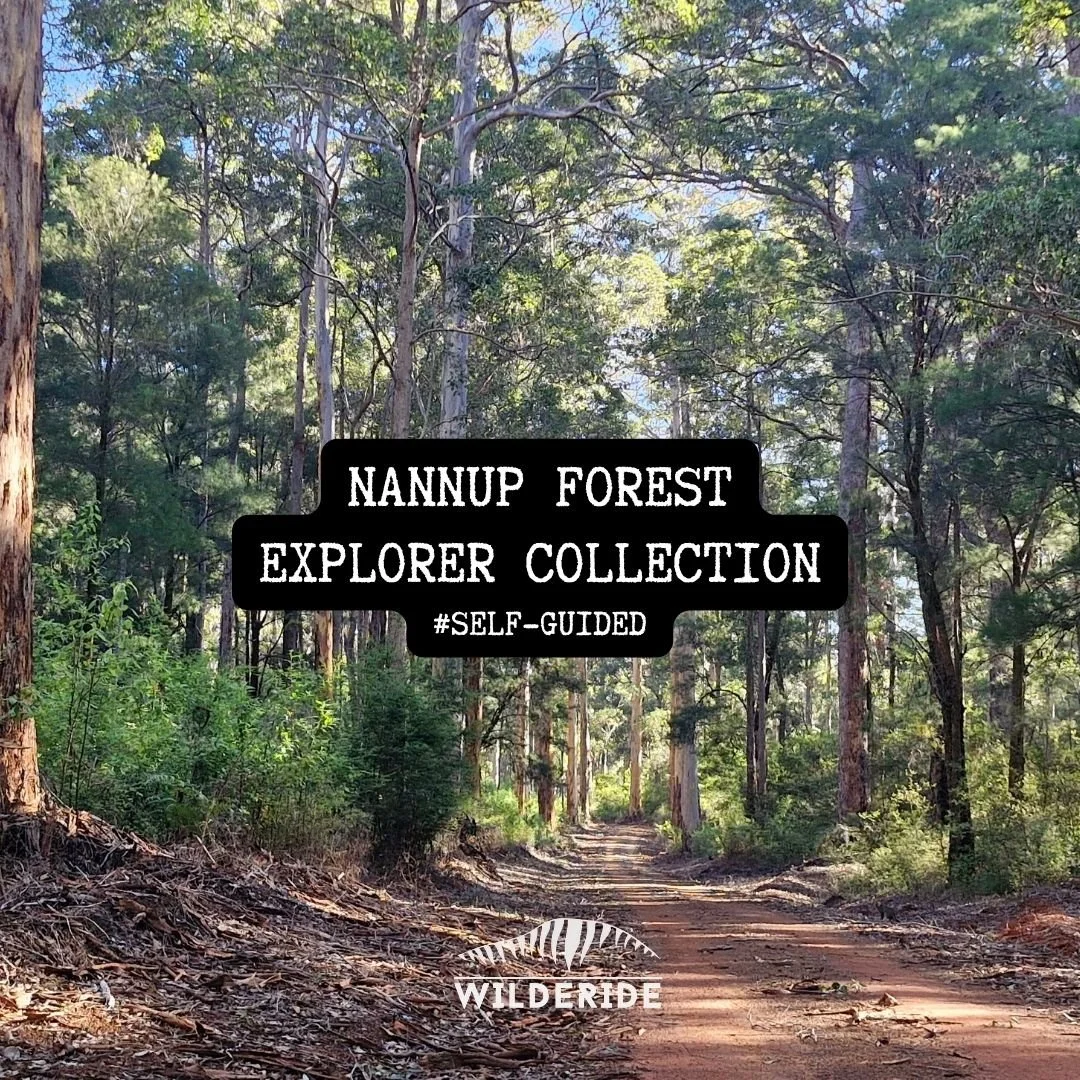 Nannup Forest Explorer - Extra Rider