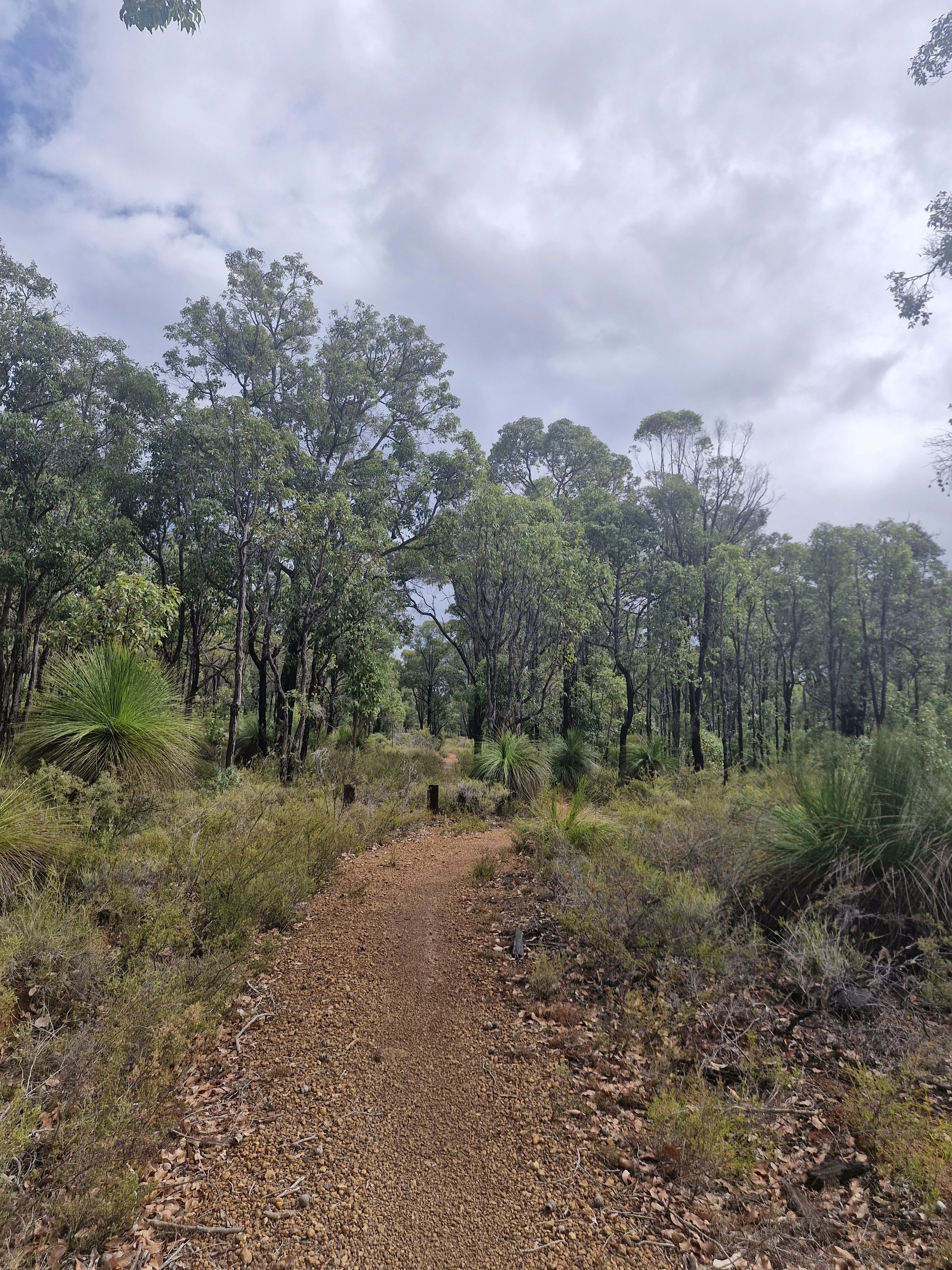 Little Cheese Recovery Ride - Sunday 17 May 2026