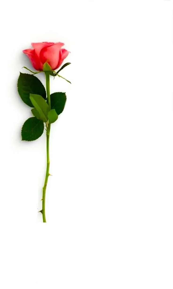 Personalized Wooden Name Flower