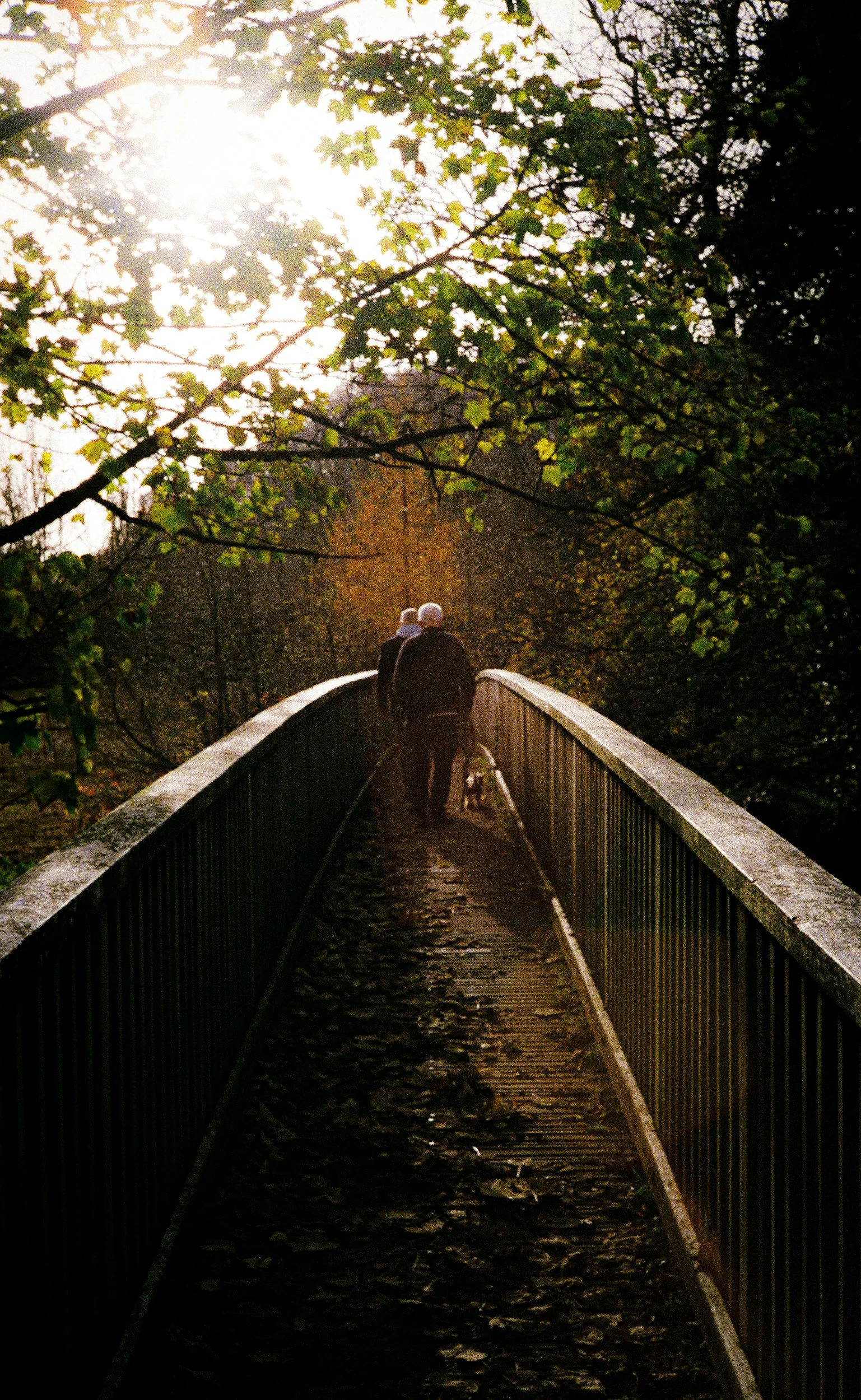 Two people walking over a bridge surrounded by trees with sunlight overhead.