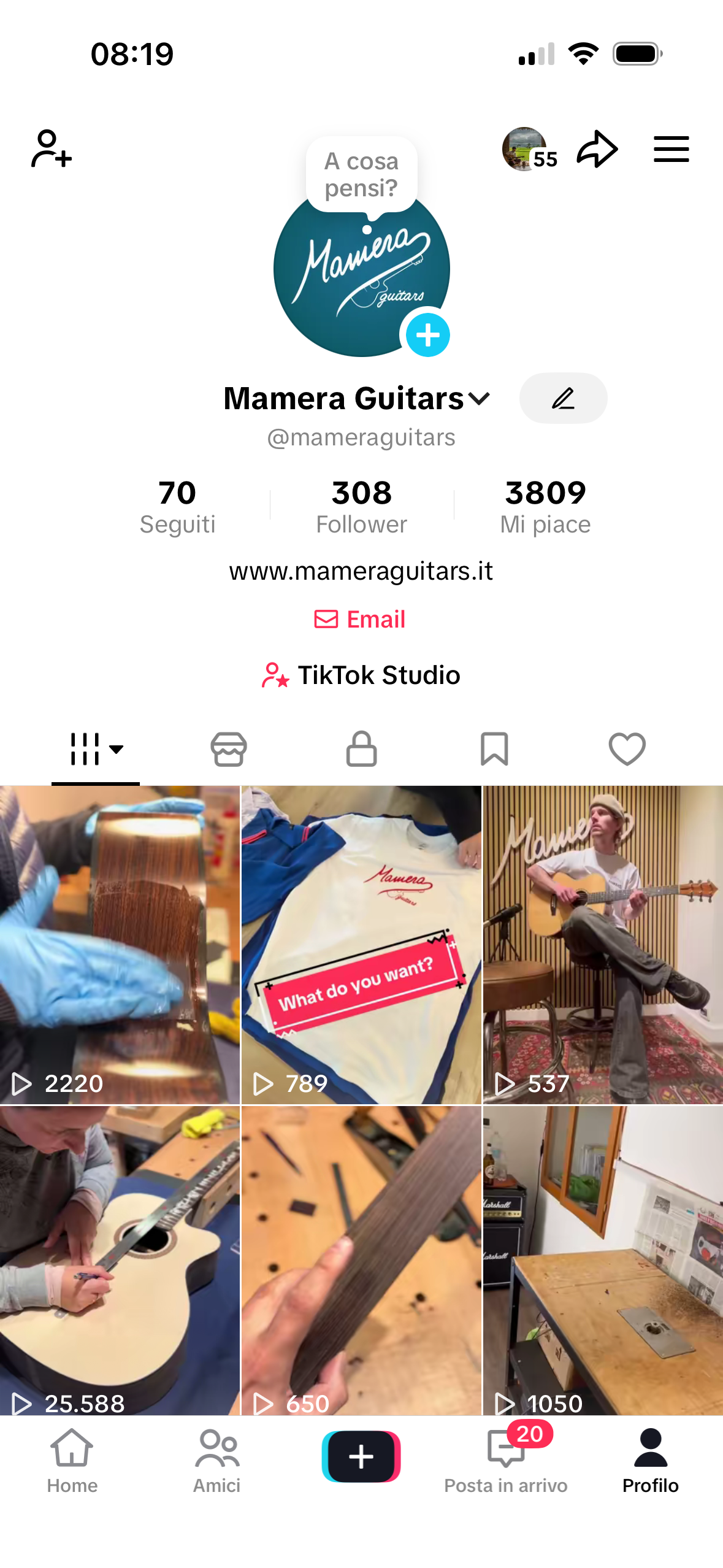 Schermata del profilo TikTok di Mamera Guitars, con un logo, statistiche e alcune miniature di video che mostrano la costruzione e la lavorazione di chitarre