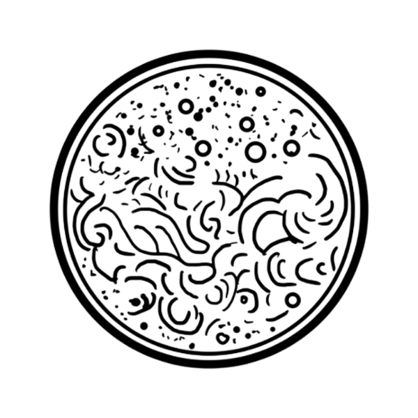 Black and white illustration of the planet venus.