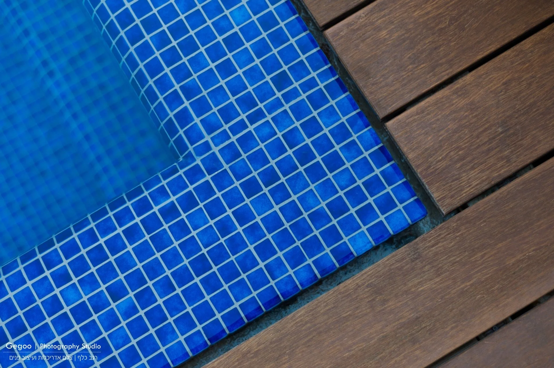 השחר רעננה-21 - צילום רגב כלף.jpg