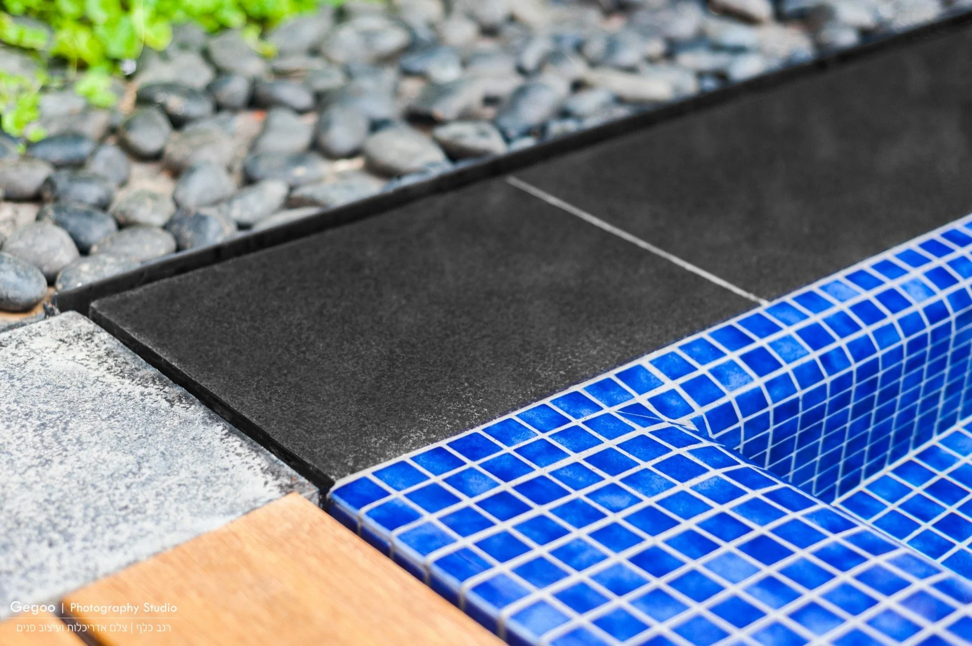 השחר רעננה-20 - צילום רגב כלף.jpg