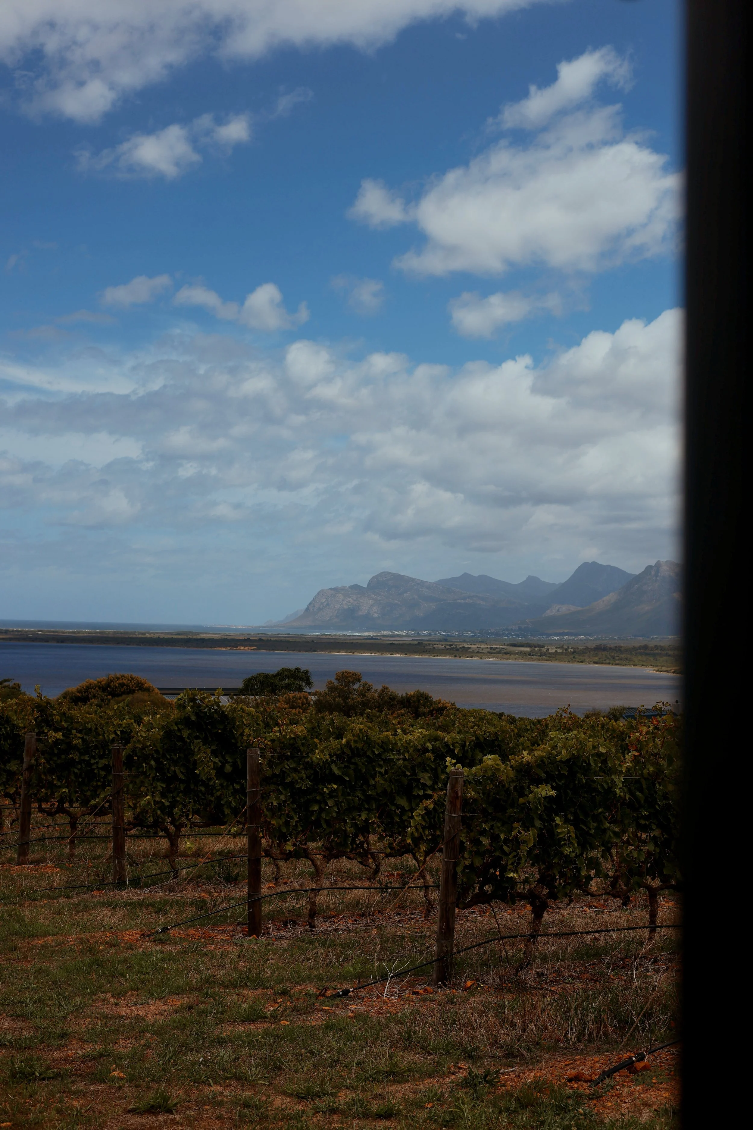 How Penny Streeter Built Two Award-Winning Estates
