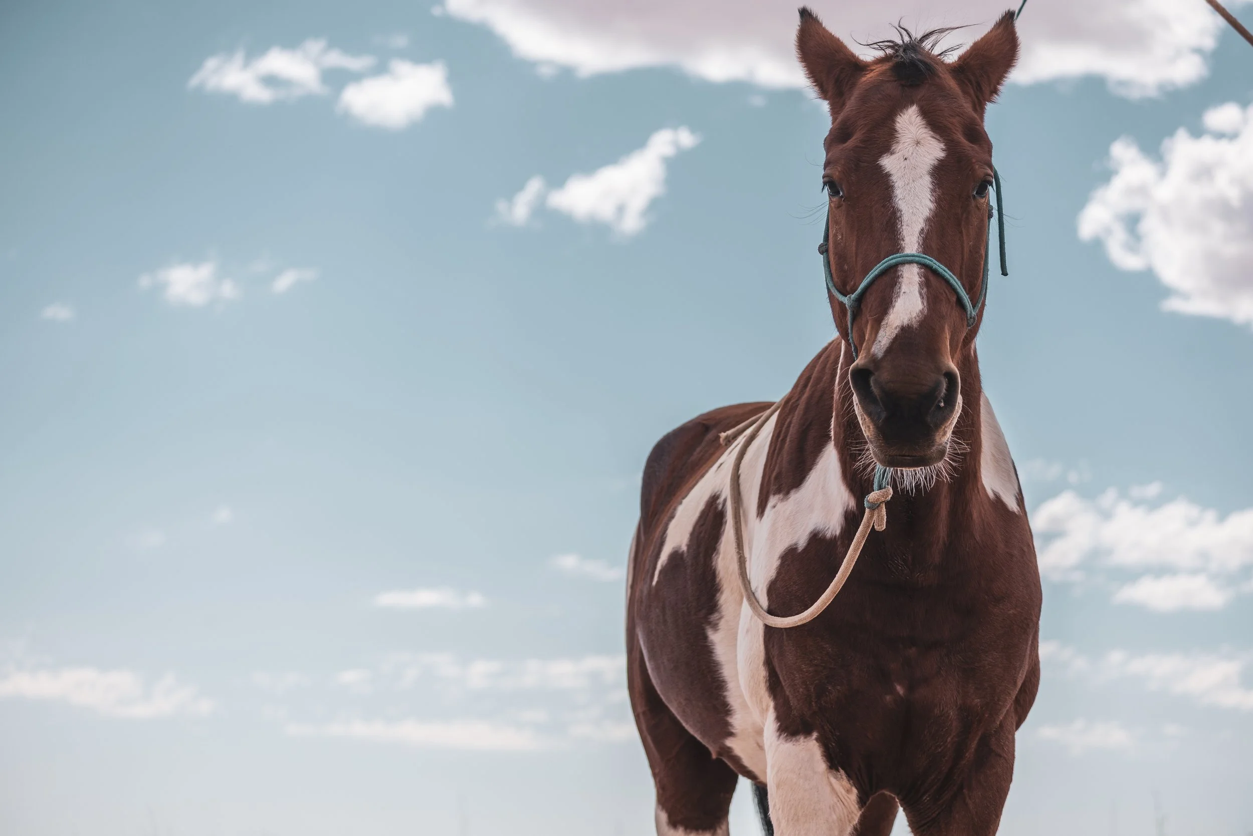 A Taste of Riding Across the Namib Desert