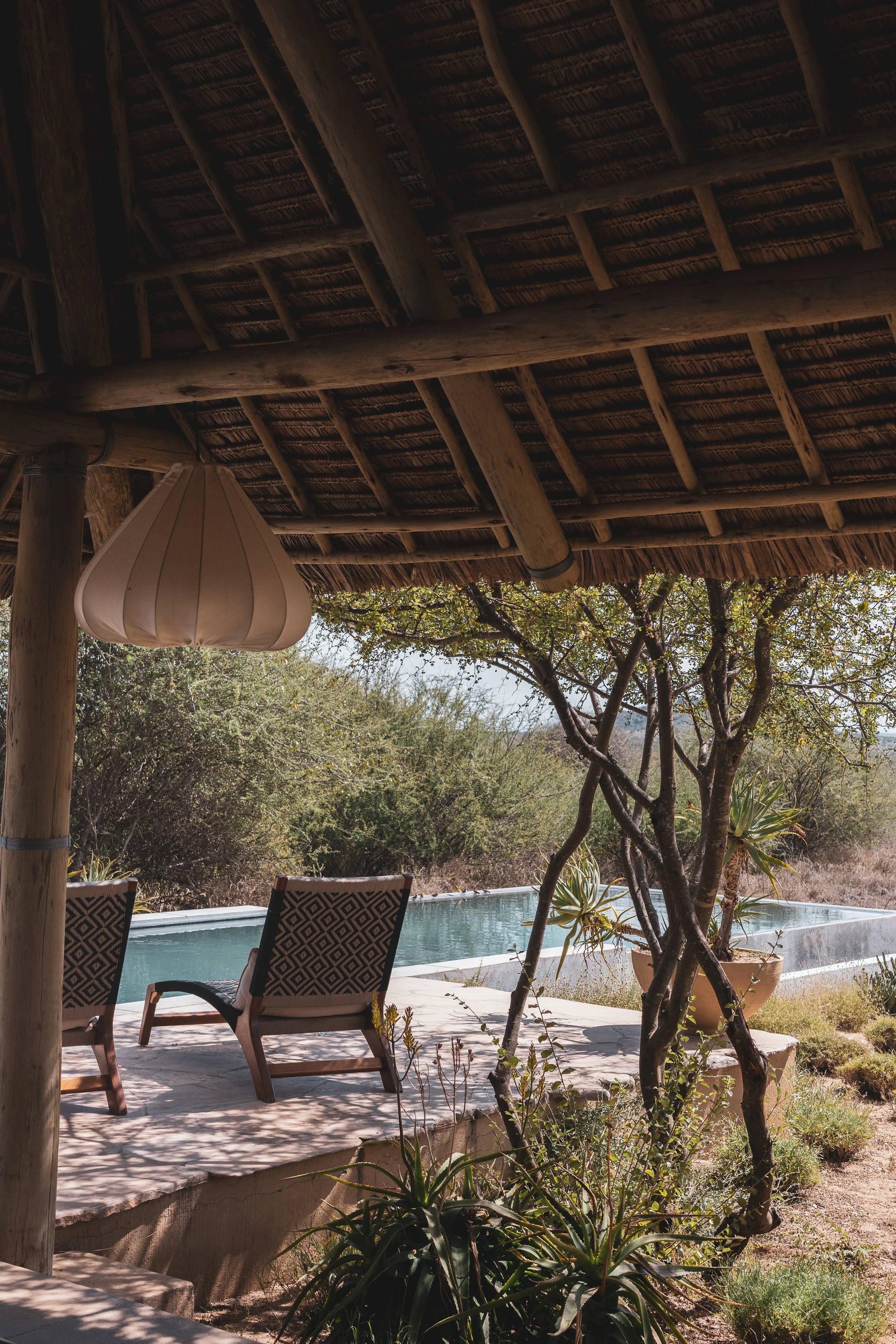 Tumaren: Where Walking Safaris Began