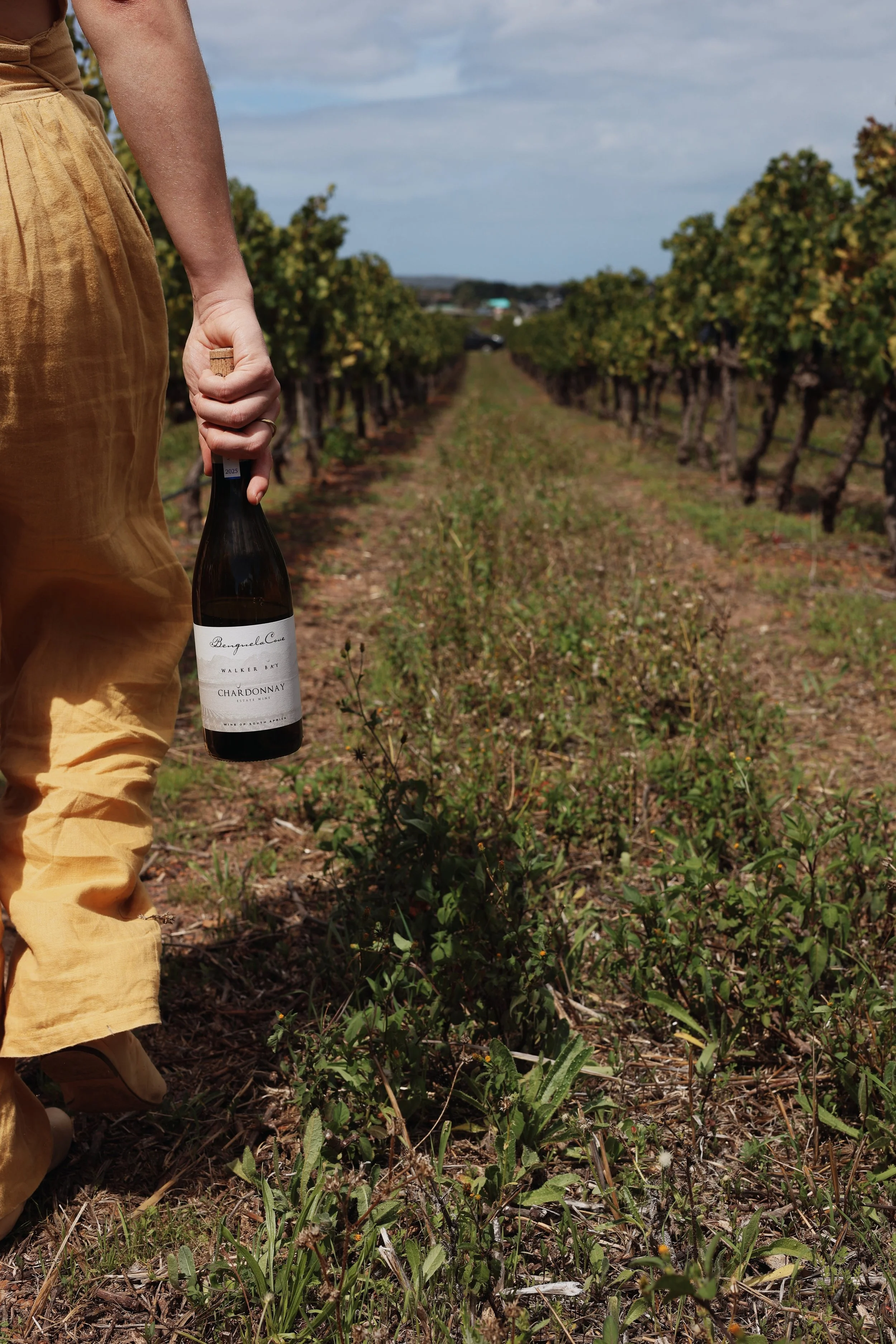 Benguela Cove - The Wine I Couldn't Place